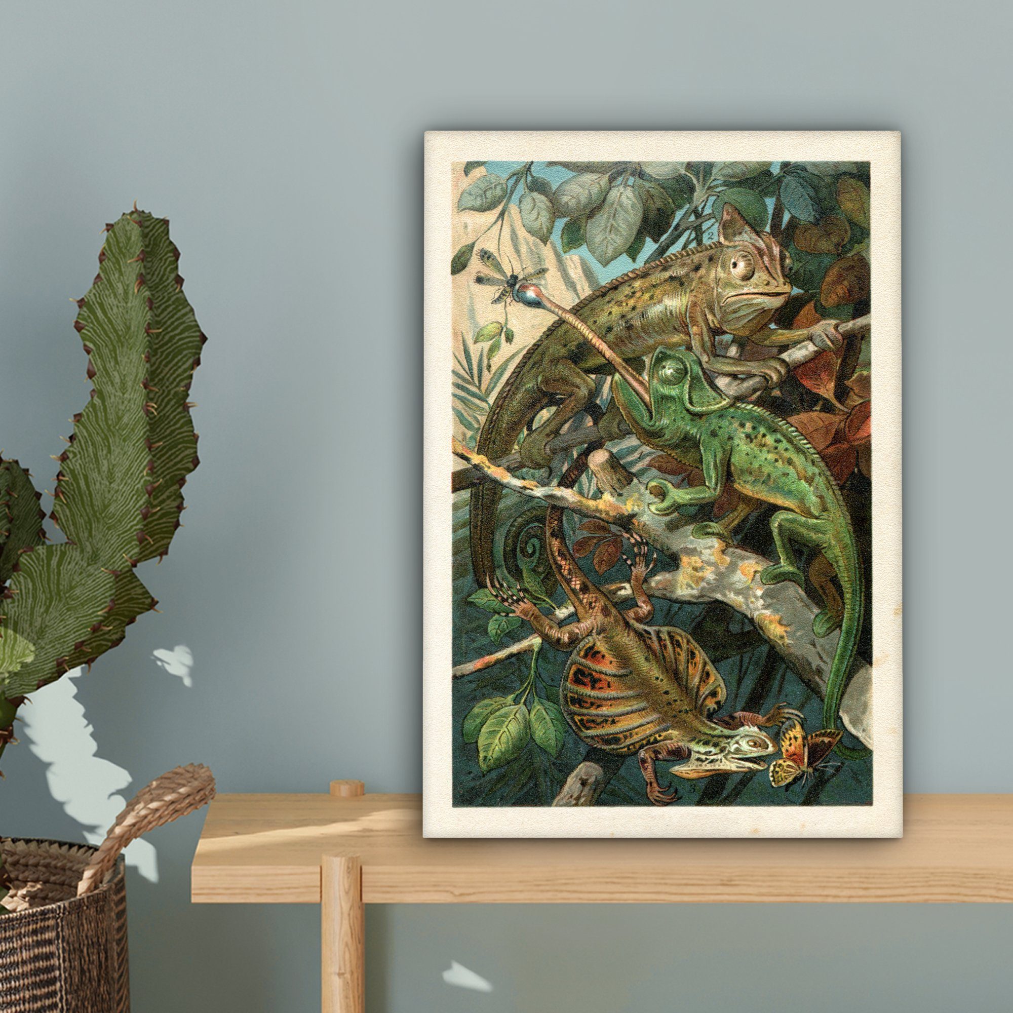 Zackenaufhänger, Reptilien cm (1 Pflanzen, inkl. Gemälde, OneMillionCanvasses® 20x30 Vintage bespannt - - Leinwandbild fertig Leinwandbild St),