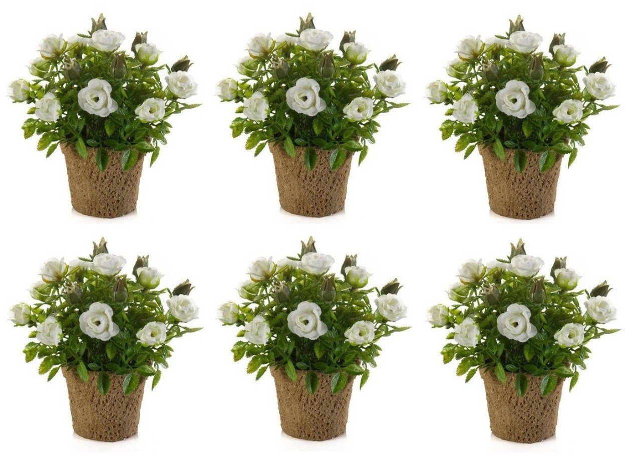Green, Kunststoff H:13cm Höhe 13 Kunstpflanze, cm, Emerald D:7cm Eternal Weiß