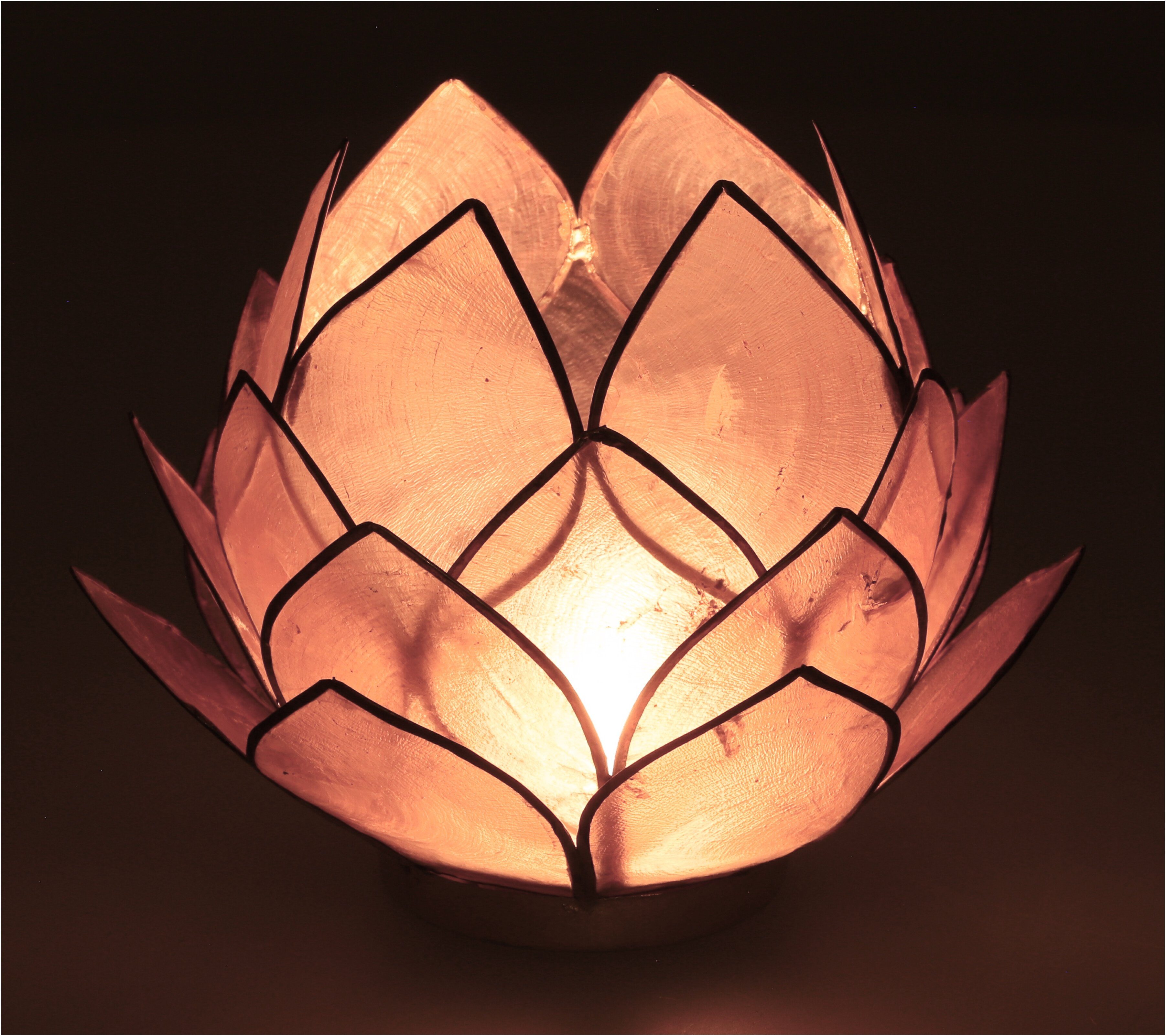 Guru-Shop Windlicht Lotus Teelicht Muschel 14*10 günstig online kaufen
