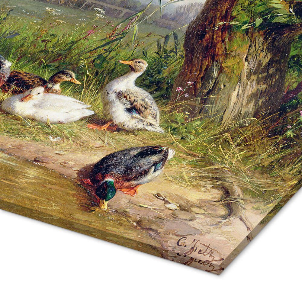 Posterlounge Wandbild Mallard Enten mit ihren Entenküken, Carl Jutz, erhältlich als Poster, Leinwandbild, Wandsticker oder Acrylglasbild