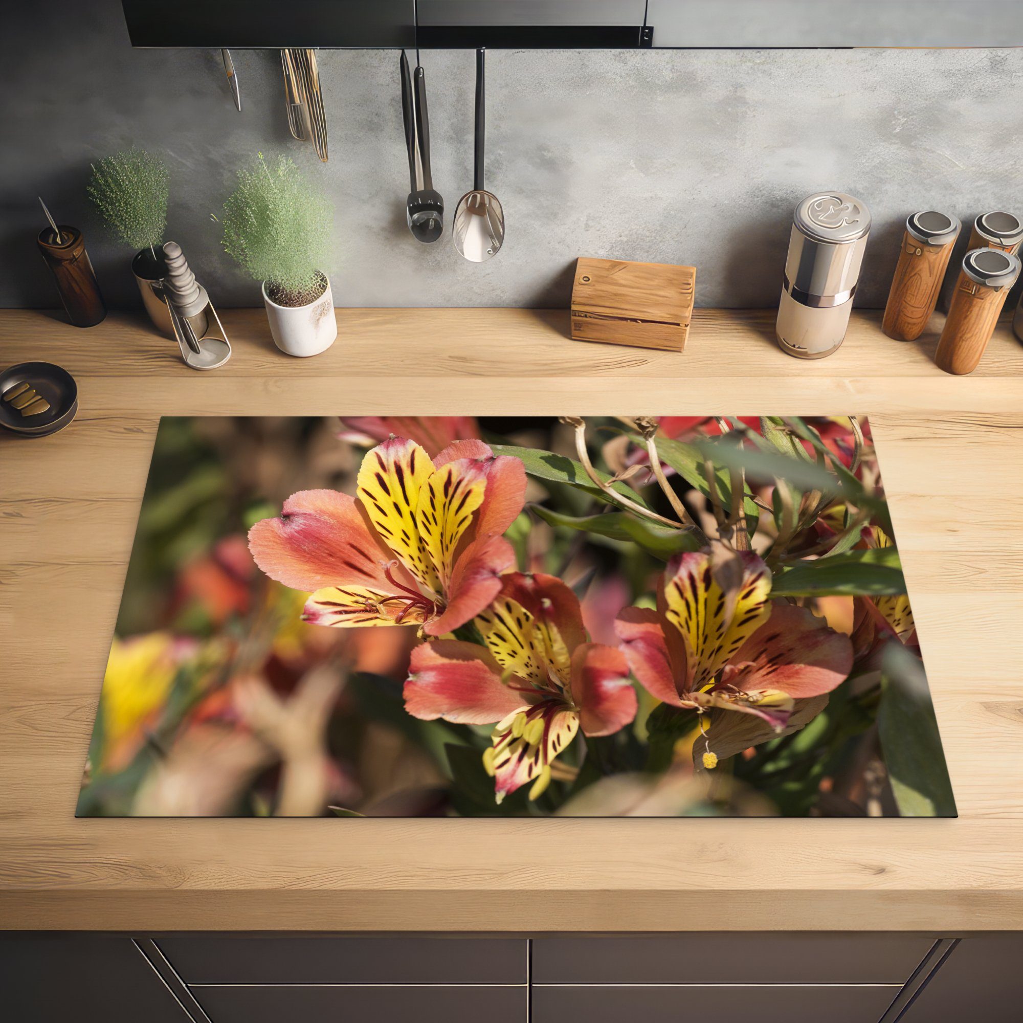 (1 Alstroemeria MuchoWow Herdblende-/Abdeckplatte küche, für Schutz tlg), 81x52 Induktionskochfeld Variante Ceranfeldabdeckung in Summer, cm, Vinyl, die 'Indian der