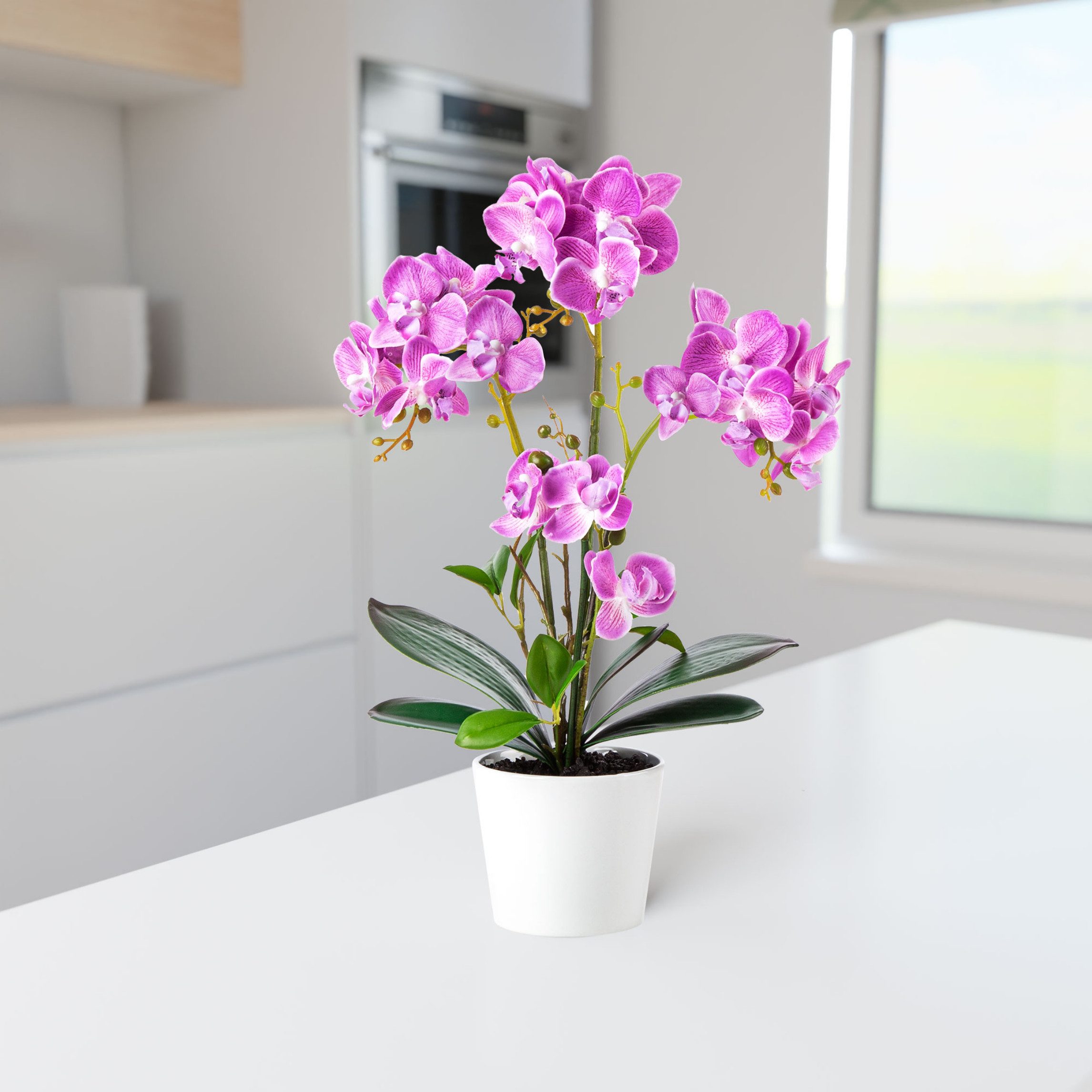 Kunstorchidee PASCH® Orchidee künstlich wie echt (46cm) in Hochglanz-Keramiktopf Orchidee, PASCH, Real Touch
