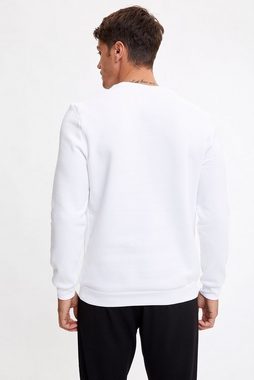 DeFacto Sweatshirt Herren Sweat-Shirt REGULAR FIT CREW NECK