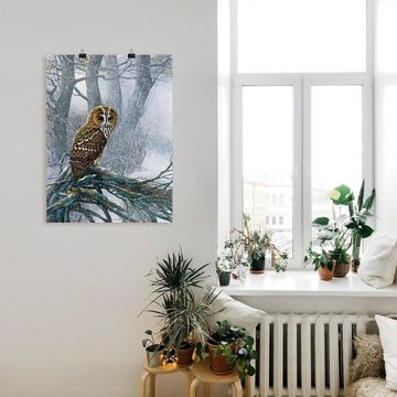 Artland Wandbild Eule in verschneitem Wald, Vögel (1 St), als Leinwandbild, Poster in verschied. Größen