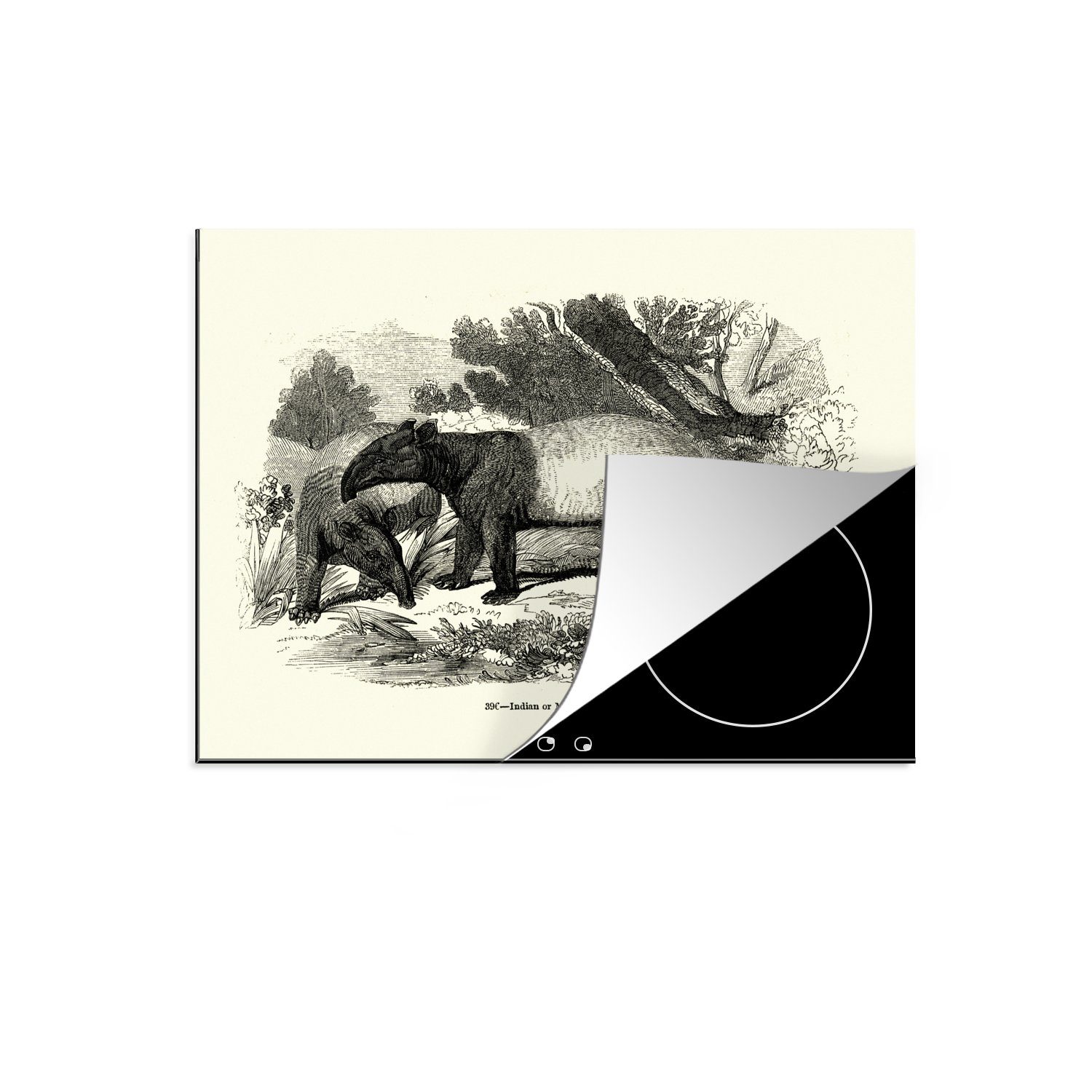 Vinyl, einem Herdblende-/Abdeckplatte 60x52 Ceranfeldabdeckung eines Arbeitsfläche MuchoWow schwarz-weiß, nutzbar, Hügel Mobile tlg), in cm, Illustration auf (1 Tapirs