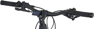 Prophete E-Bike Prophete DICE 4.8, 10 Gang Shimano Deore XT Schaltwerk, Kettenschaltung, Mittelmotor, 672 Wh Akku, Pedelec, Elektrofahrrad für Herren, MTB, Mountainbike