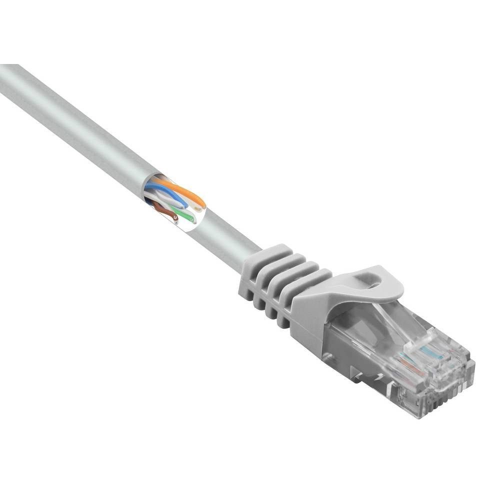 CAT5e m Netzwerkkabel U/UTP Renkforce LAN-Kabel 10