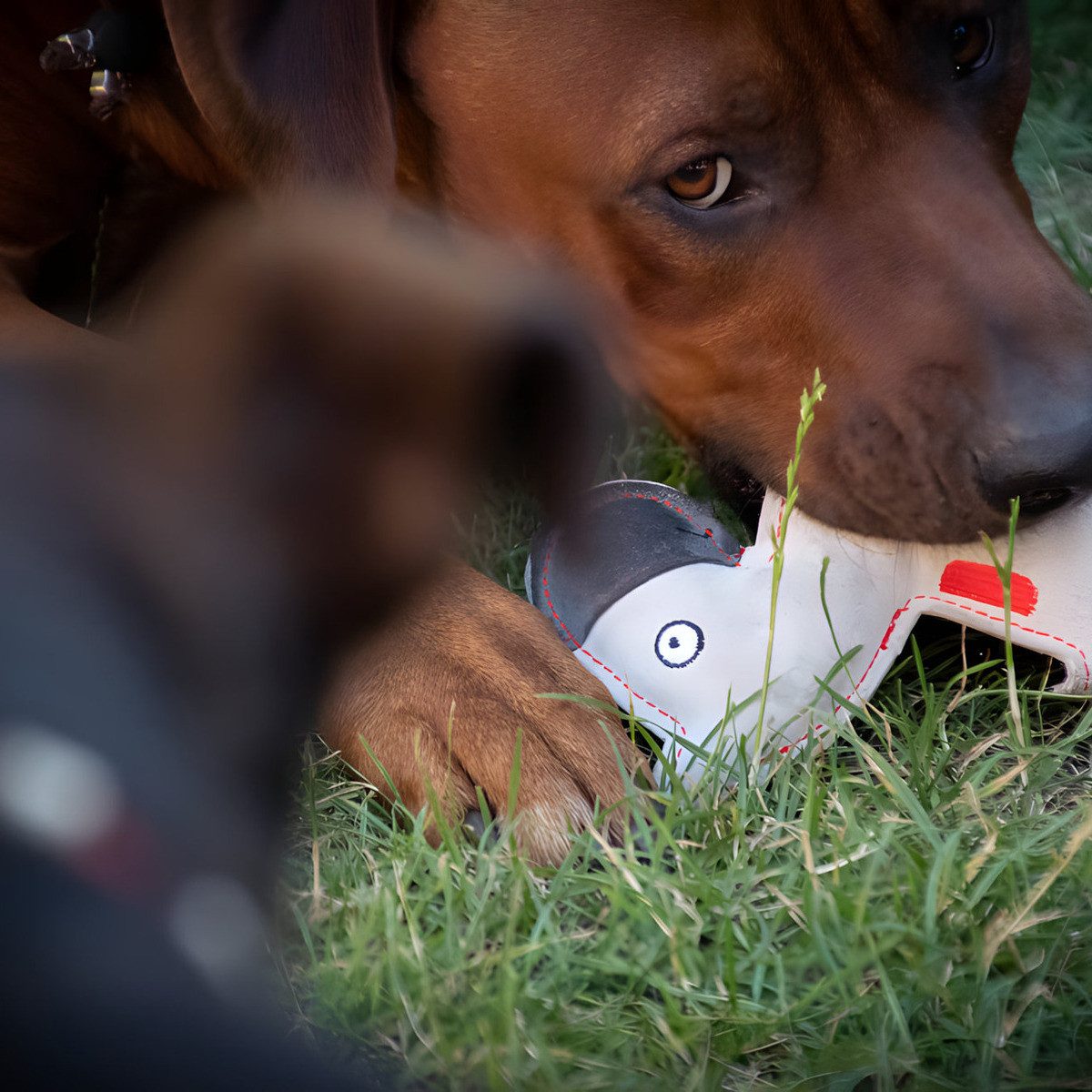 Holland Animal Care Tierkuscheltier Hundespielzeug Esel hellgrau