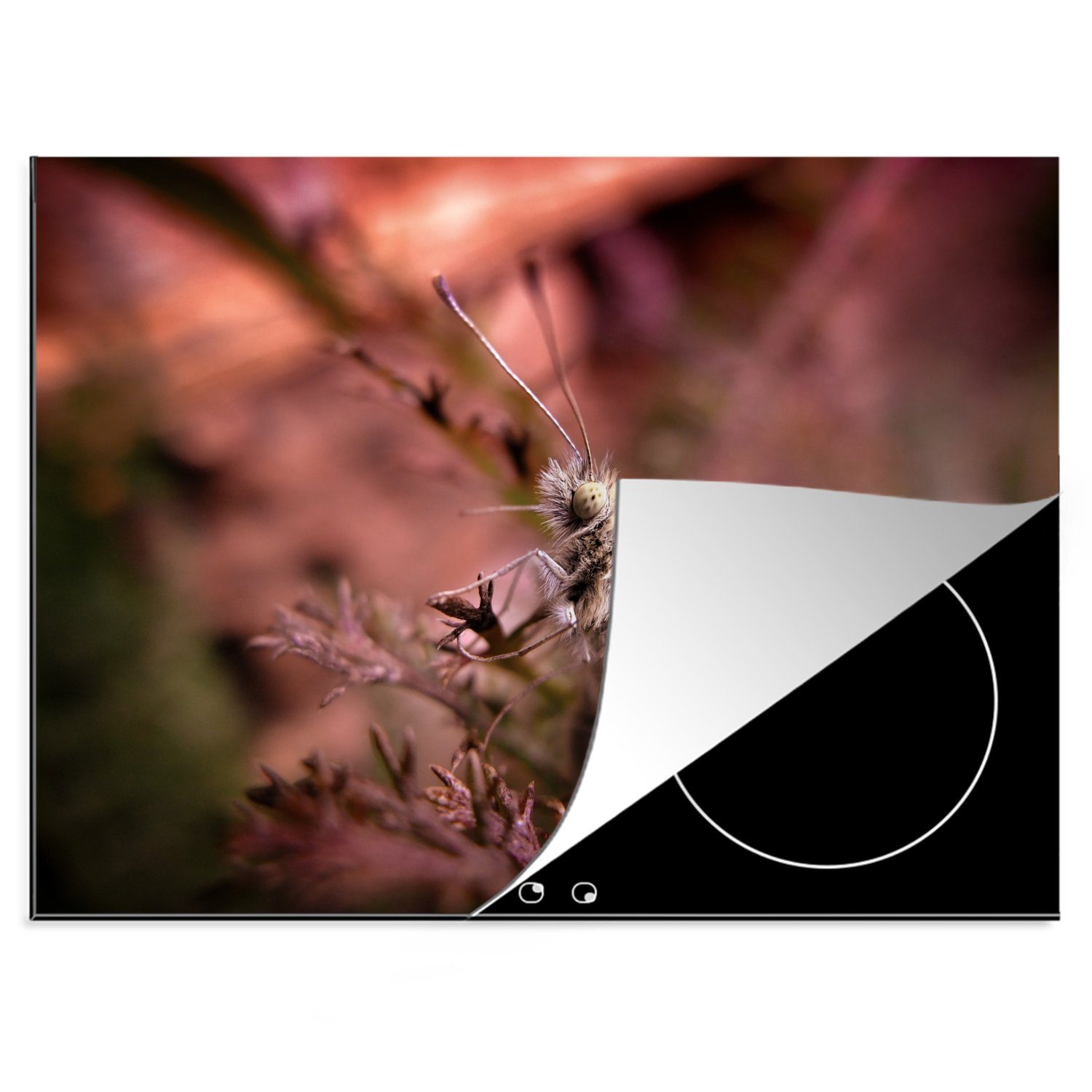 MuchoWow Herdblende-/Abdeckplatte Kohlweißling hockt auf einer Pflanze, Vinyl, (1 tlg), 70x52 cm, Mobile Arbeitsfläche nutzbar, Ceranfeldabdeckung