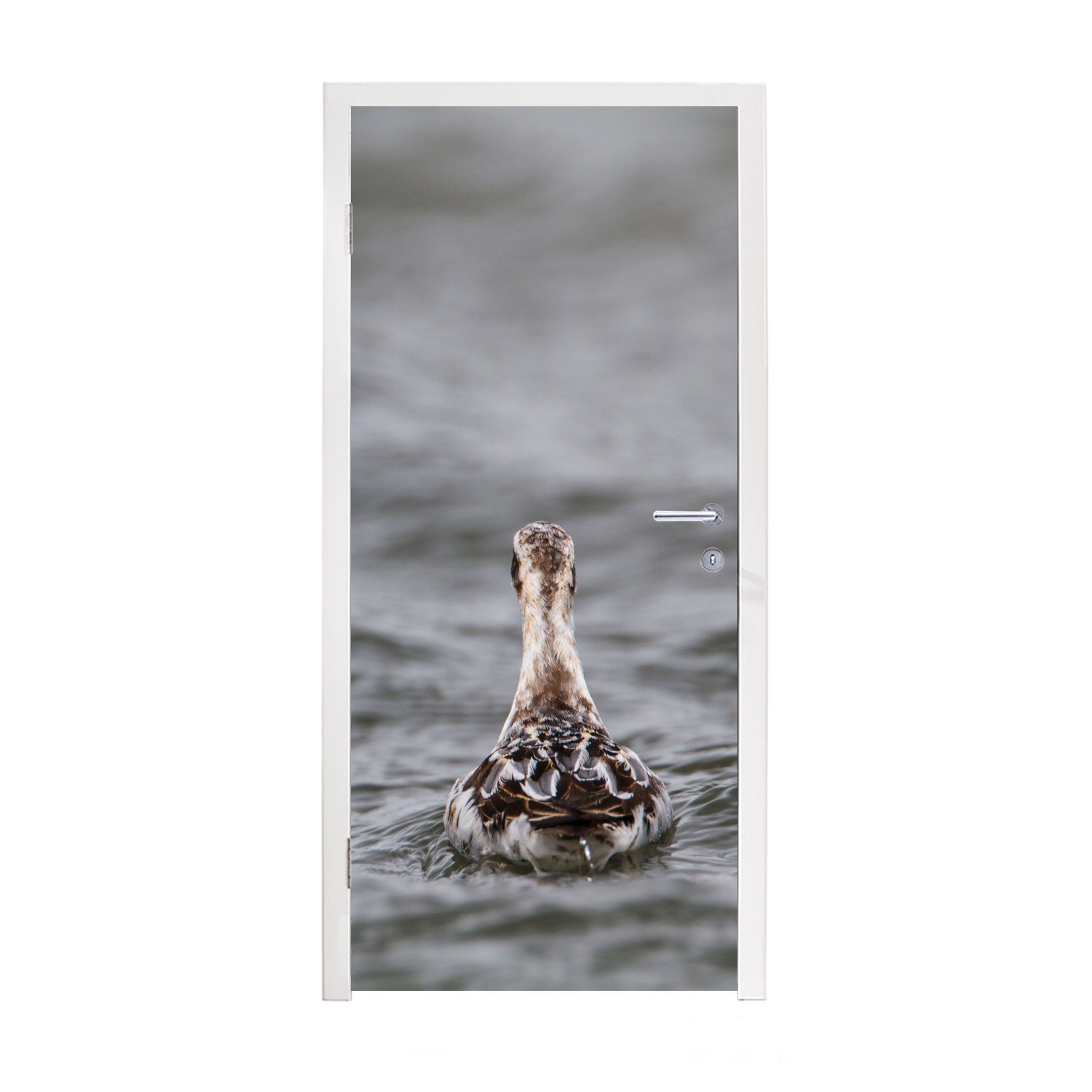 MuchoWow Türtapete Eine schöne Graugans von hinten im Wasser gesehen, Matt, bedruckt, (1 St), Fototapete für Tür, Türaufkleber, 75x205 cm