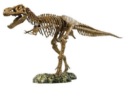 Edu-Toys Experimentierkasten T-Rex Tyrannosaurus Rex Skelett Modell 91cm mit Ständer Bausatz, (51-tlg), leicht verständlich aufzubauen, große Detailtreue