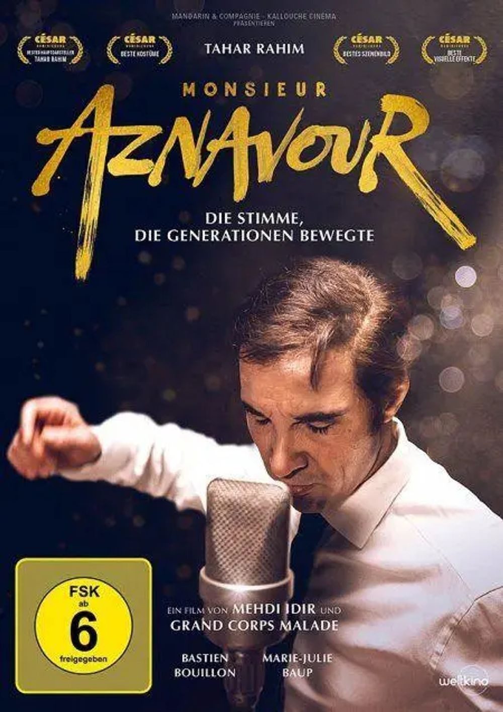Leonine DVD Monsieur Aznavour