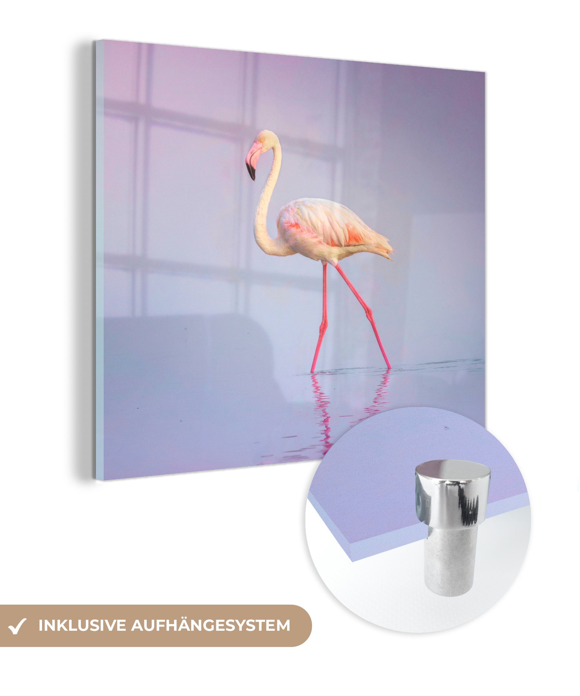 MuchoWow Acrylglasbild Flamingo - Wasser - Rosa, (1 St), Glasbilder - Bilder auf Glas Wandbild - Foto auf Glas - Wanddekoration