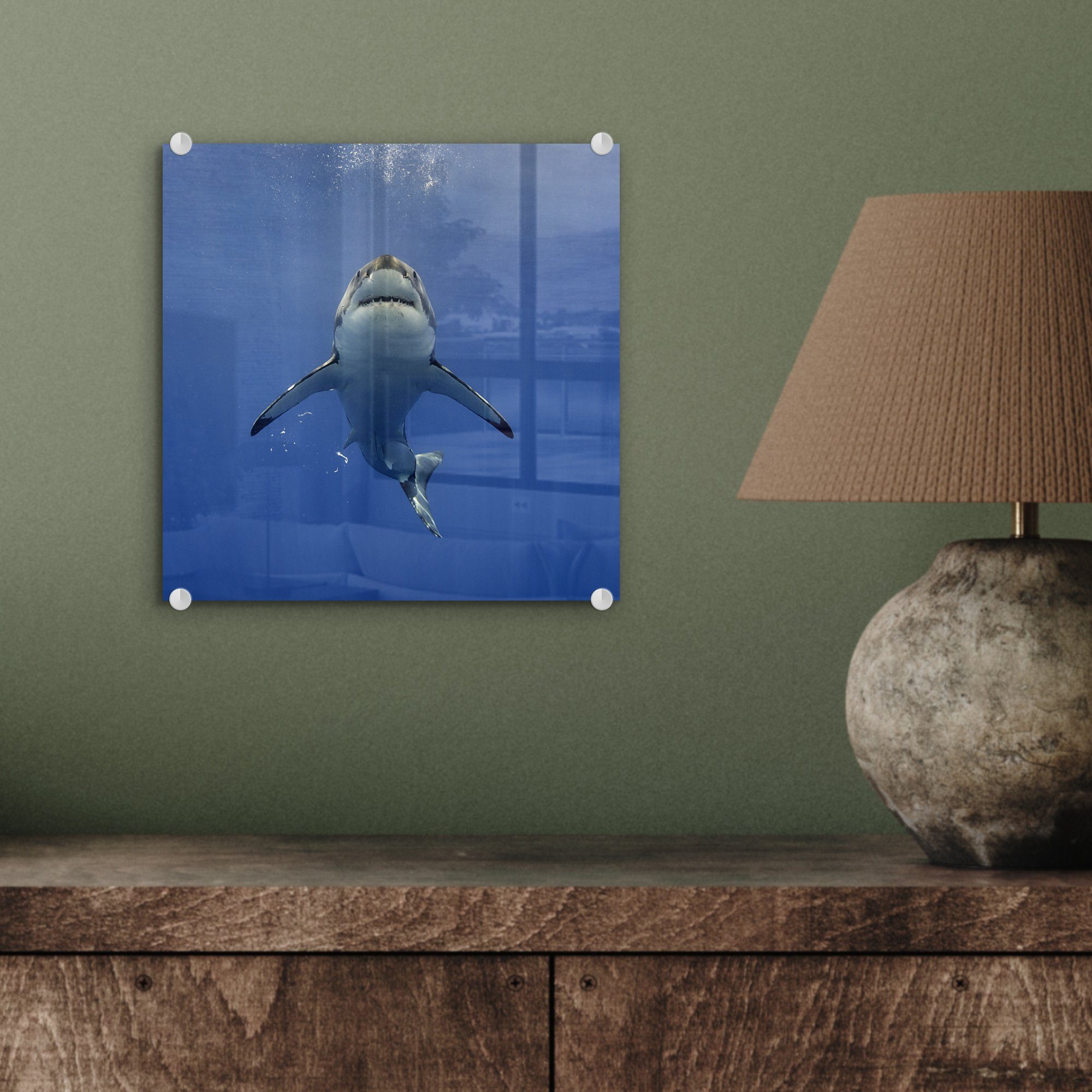 MuchoWow Acrylglasbild Weißer Hai schwimmt auf - die Wasseroberfläche Glas - auf auf Wanddekoration - Foto Glas Bilder zu, Glasbilder (1 Wandbild St)