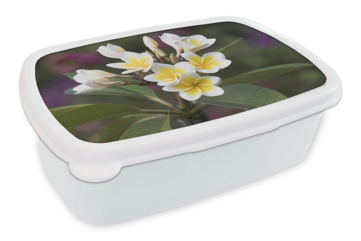 MuchoWow Lunchbox Die weiße und gelbe Plumeria-Blüte, Kunststoff, (2-tlg), Brotbox für Kinder und Erwachsene, Brotdose, für Jungs und Mädchen