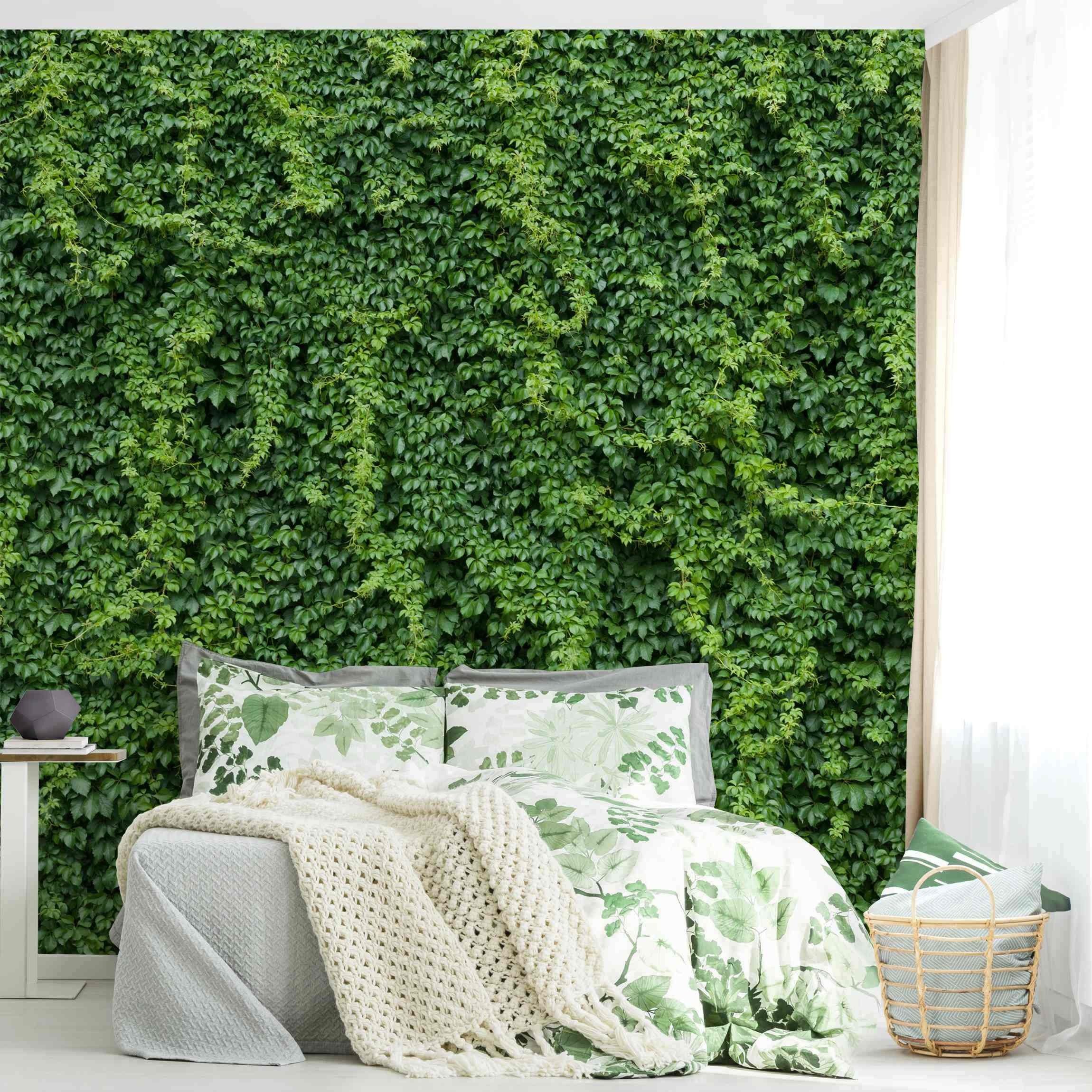 Bilderdepot24 Fototapete Natur Efeu Natur Grün Pflanzen Botanik Modern Wanddeko, Glatt, Matt, (Vliestapete inkl. Kleister oder selbstklebend), Wohnzimmer Schlafzimmer Küche Flur Motivtapete Vliestapete Wandtapete