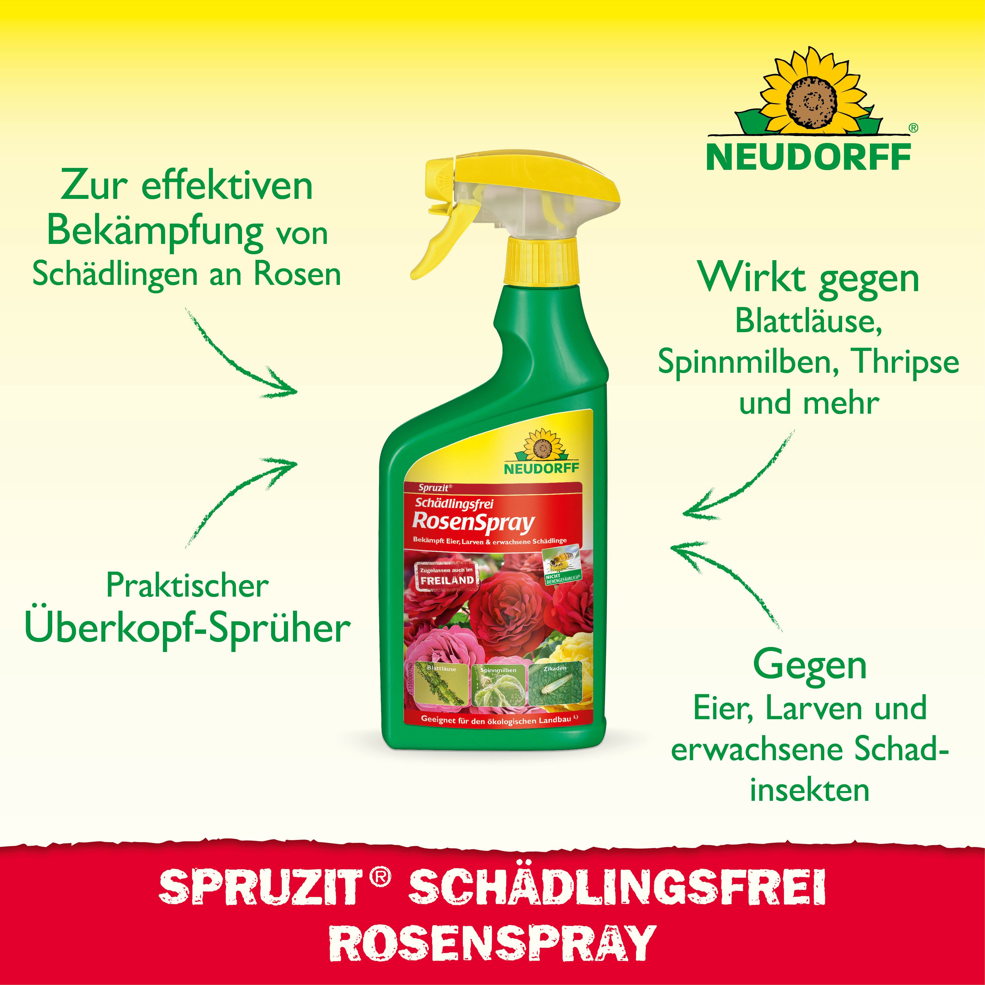 Neudorff Insektenspray Spruzit AF Schädlingsfrei RosenSpray 750 ml, 0.75 l, Für Rosen & Zierpflanzen im Freiland, Anwendungsfertiges Spray gegen Schädlinge an R – Bild 2 von 5