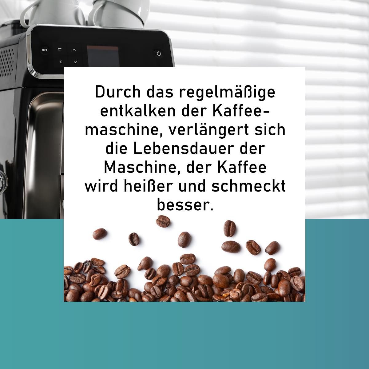Wark24 Wark24 Entkalker 250ml für Kaffeevollautomat z.B. Siemens, Saeco uvm. Entkalker