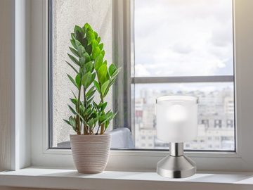 meineWunschleuchte LED Nachttischlampe, LED wechselbar, Warmweiß, kleine touch Lampe mit Glas Lampenschirm weiß für Fensterbank, H: 17cm