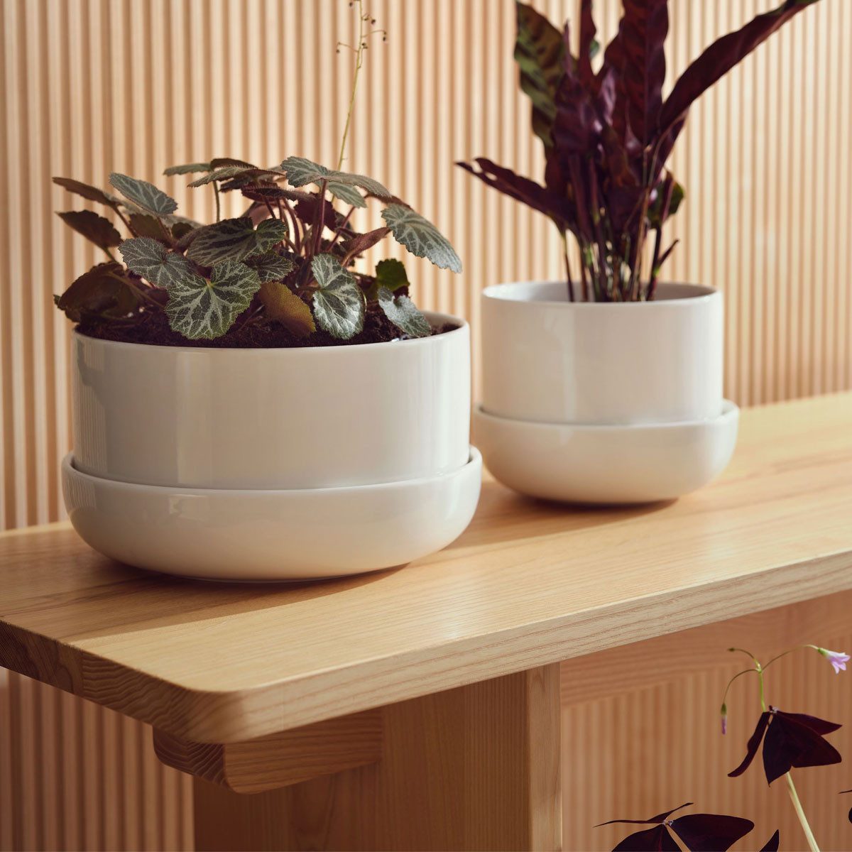 IITTALA Blumentopf Nappula
