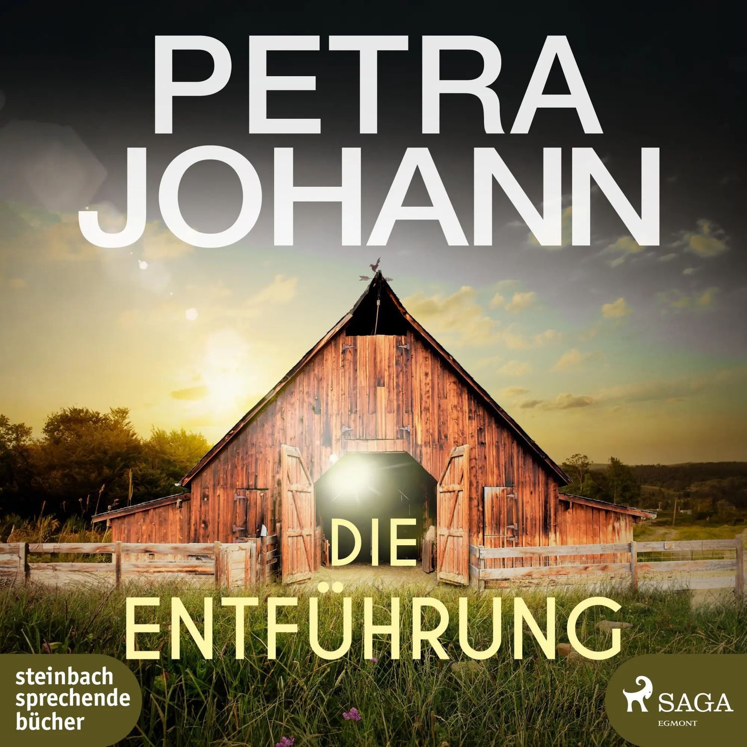 Steinbach Hörspiel Die Entführung