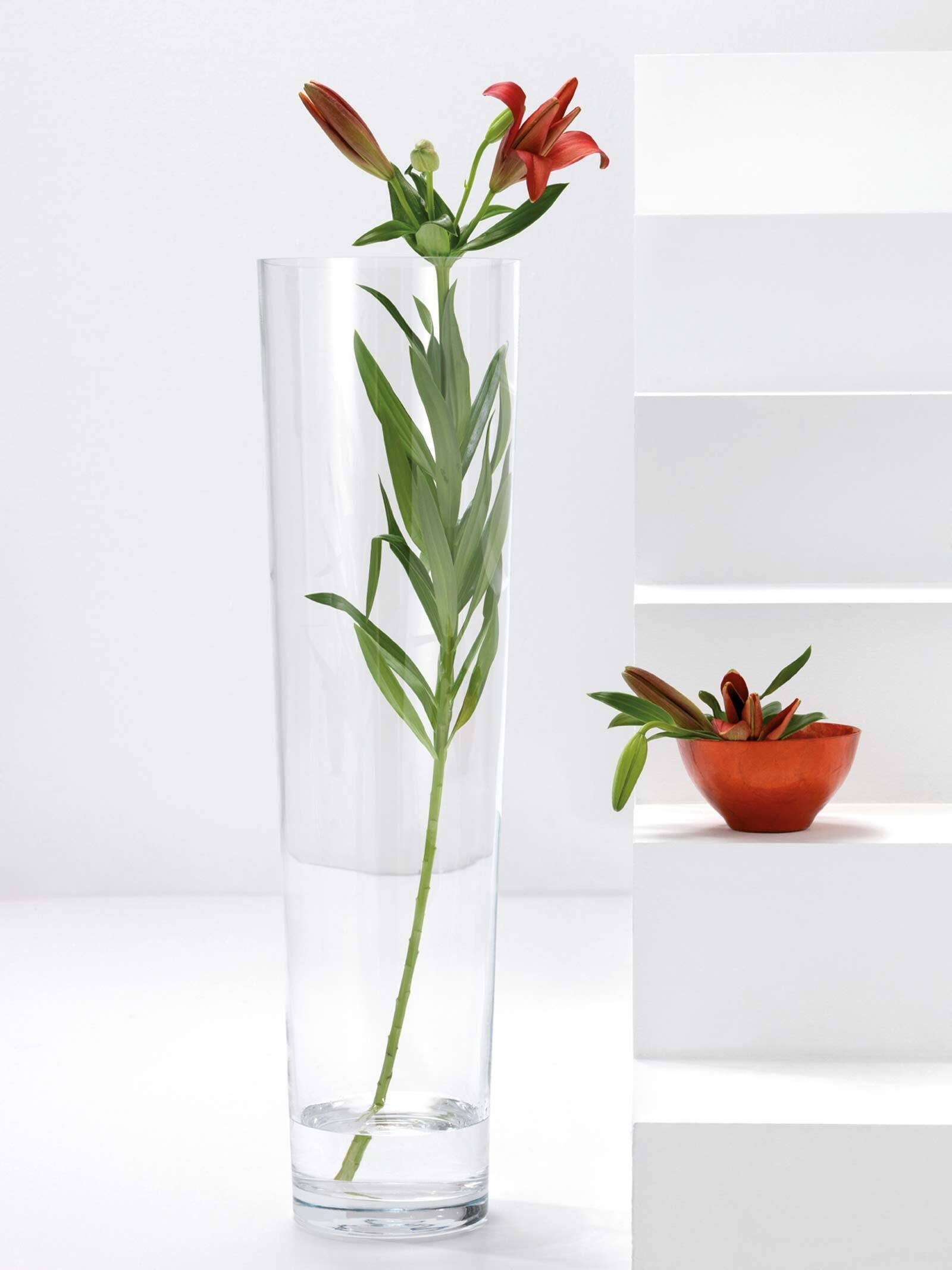 Dekovase (1x LEONARDO cm Vase, ↕ Bodenvase 70 1 konisch St)