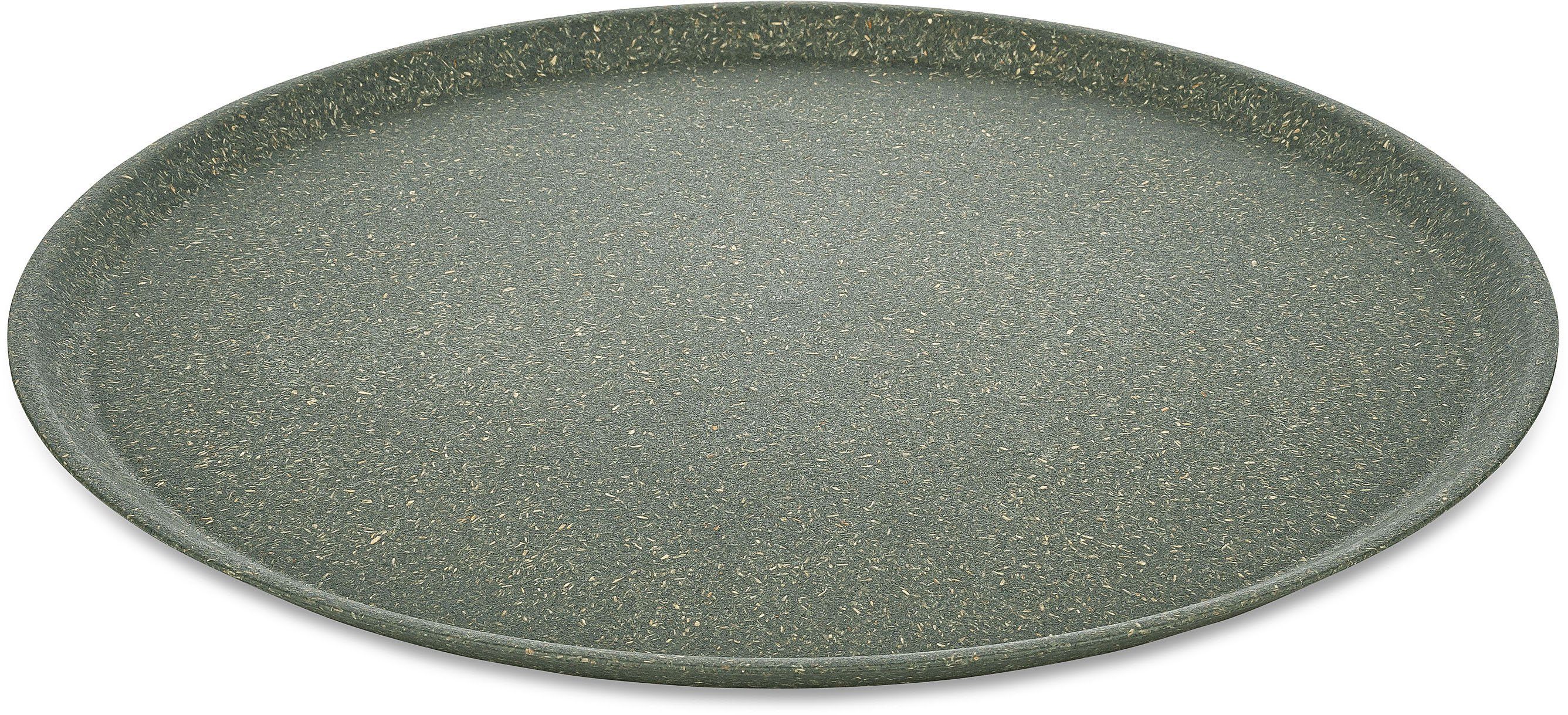 KOZIOL Speiseteller CONNECT PLATE, (4 St), biozirkuläremKunststoff+FSCHolz,spülmaschinengeeignet,melaminfrei,25cm grau