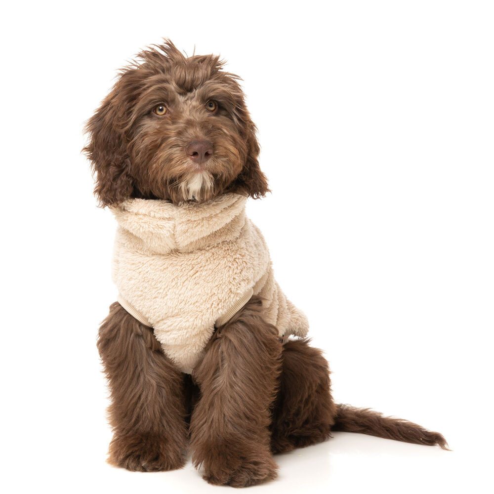 FuzzYard LIFE Hundepullover Teddy Hunde Sweater - weich und kuschelig, in verschiedenen Größen