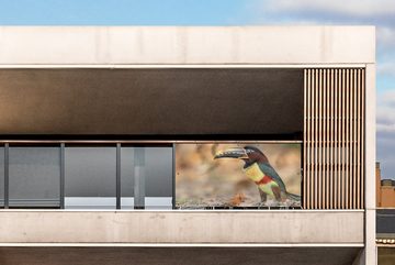 MuchoWow Balkonsichtschutz Vogel - Tukan - Federn - Natur (1-St) Balkonbanner, Sichtschutz für den Balkon, Robustes und wetterfest
