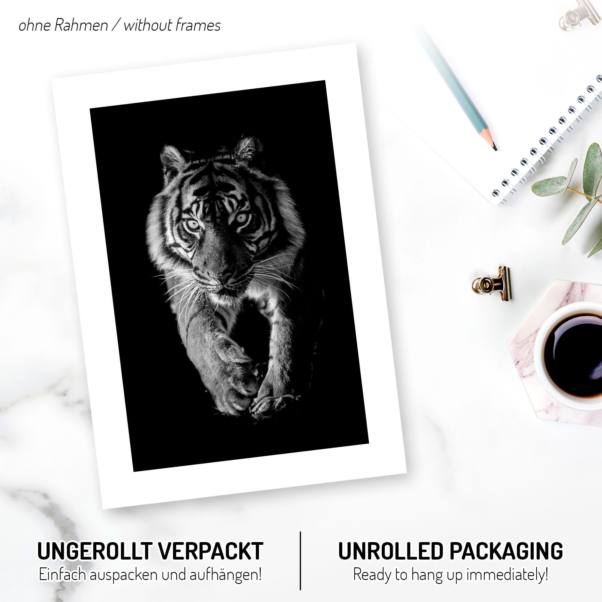 Kreative Feder Poster, Tiger, Leopard, Schwarz-Weiß, Tiere, Katze, Raubkatze, wild, free (Set, 3 St), 3-teiliges Poster-Set, Wandbild, optional mit Rahmen, DIN A4 oder A3