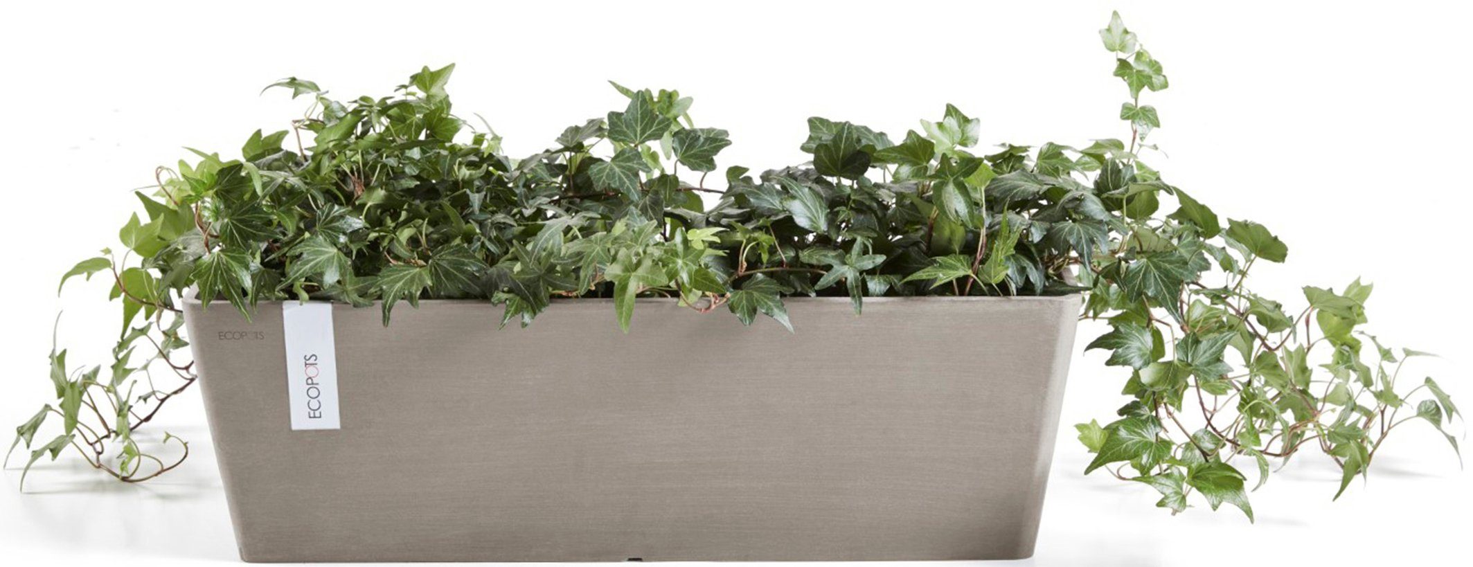ECOPOTS Balkonkasten Bruges 55 + Wassersystem günstig online kaufen