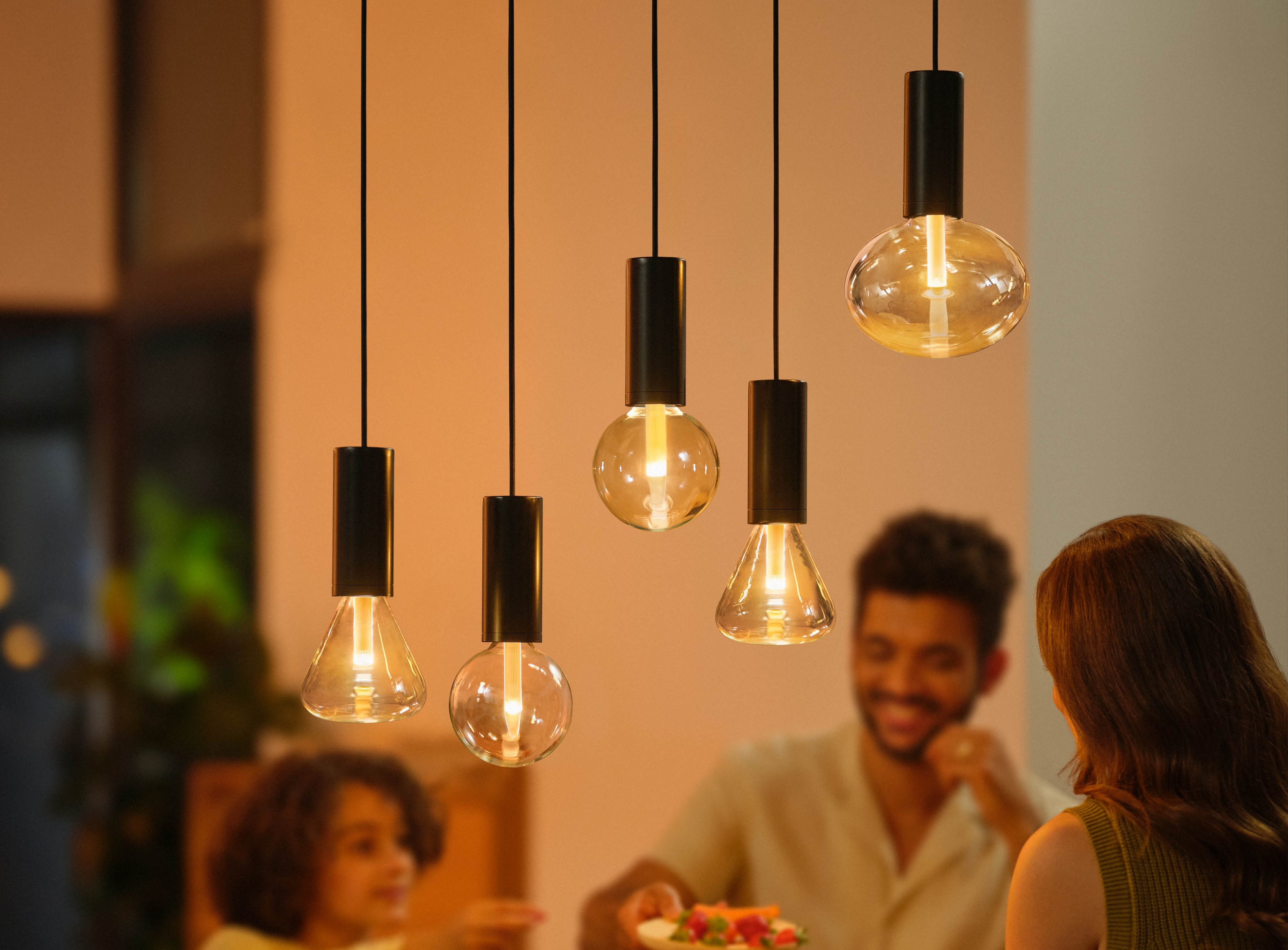 Philips Hue Pendelleuchte Schwarze Kordel E27 für Lightguide, ohne Leuchtmittel, ohne Leuchtmittel