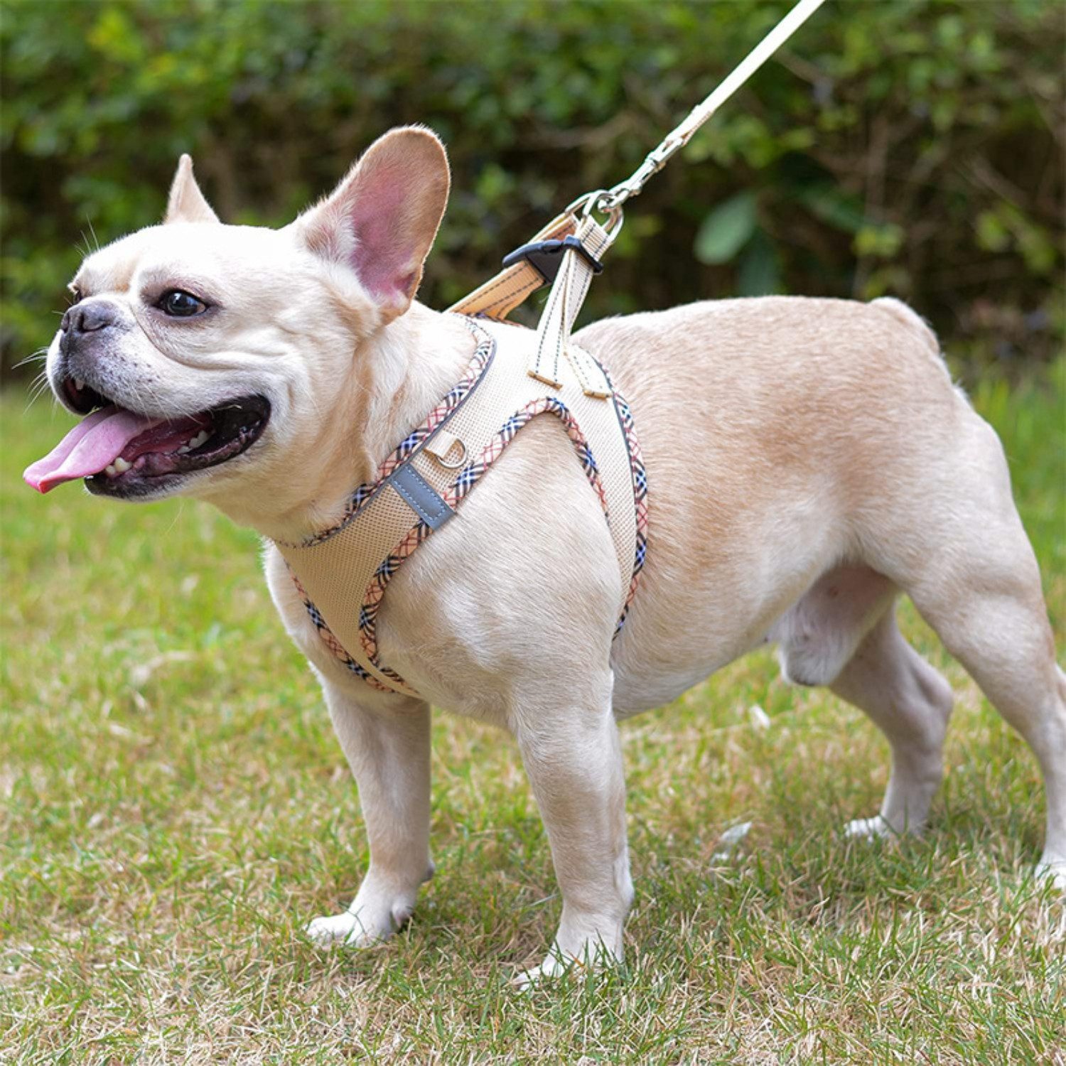 BYSURE Hunde-Geschirr NF16WH00094, Polyester, Step-in Atmungsaktiv günstig online kaufen