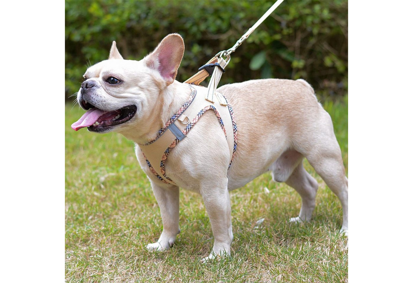 Thumbnail - BYSURE Hunde-Geschirr NF16WH00094, Polyester, Step-in Atmungsaktiv Brustgeschirr für Kleine Hunde, Katzen