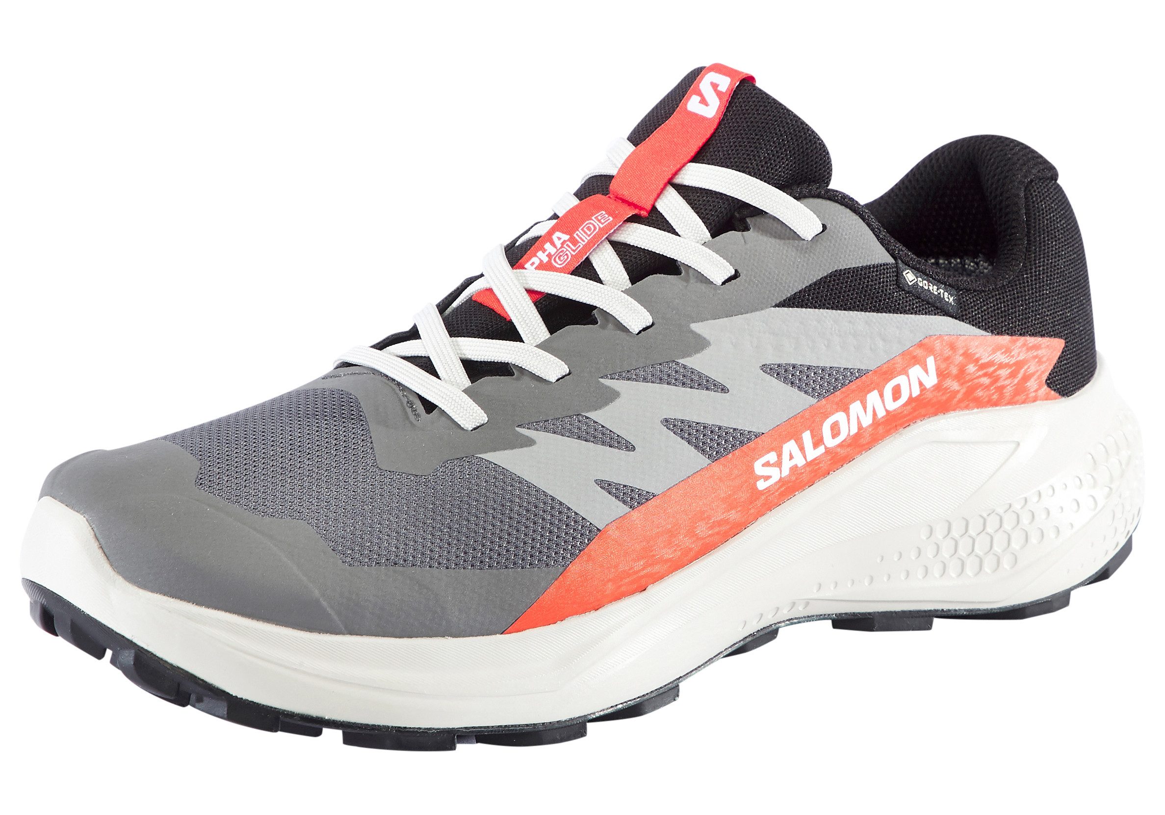 Salomon ALPHAGLIDE GORE-TEX Laufschuh wasserdicht günstig online kaufen