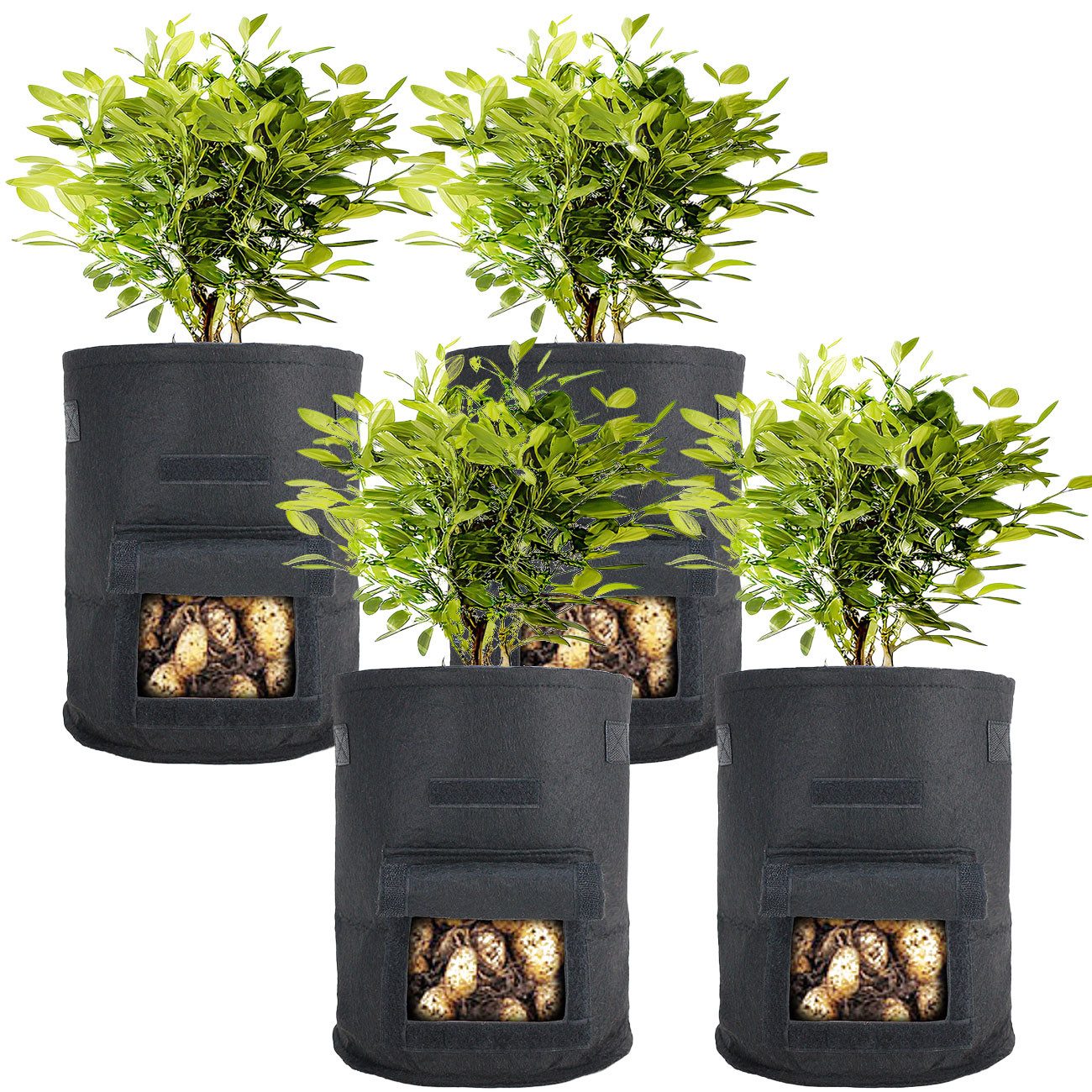 Casativo Pflanzkübel XL Pflanzen-Wachstumssäcke je 38L Vliestopf mit Sichtfenster & Griffen (4 St., 2er-Set & 4er-Set), Ø 40xH 35 cm/UV-beständige Pflanztaschen für lange Nutzung