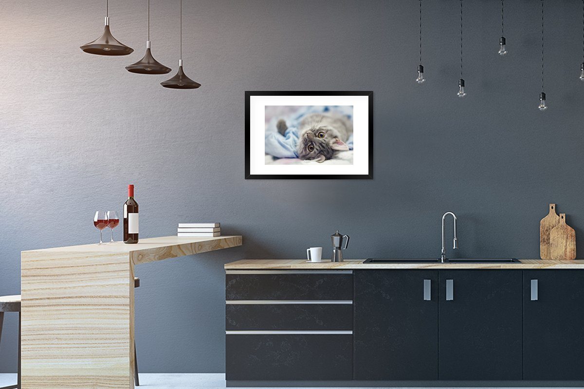 MuchoWow Poster Katze - Tier - Makro, (1 St), mit Rahmen, Kunstdruck, Gerahmtes Poster, Schwarzem Bilderrahmen