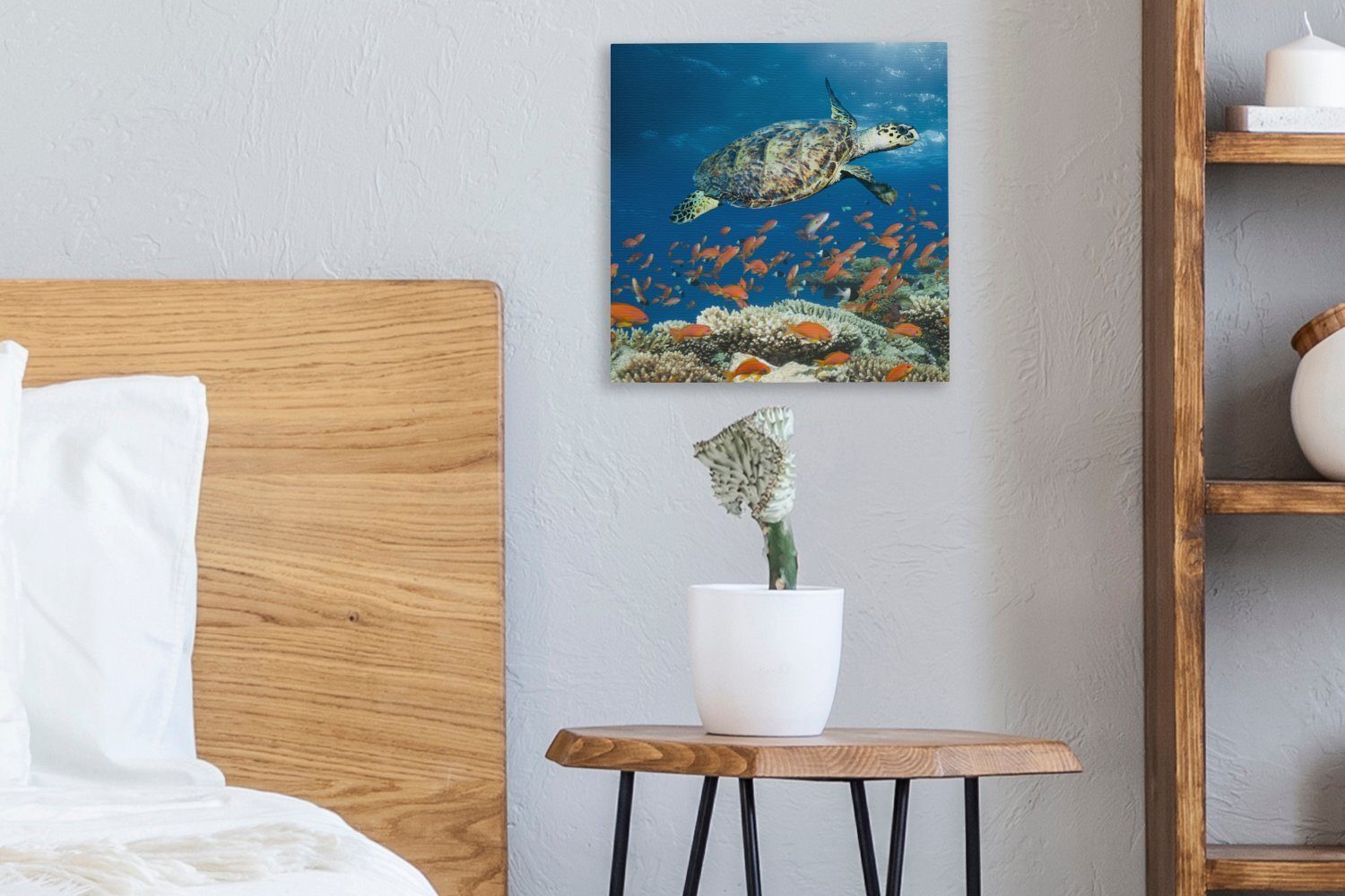 Leinwandbild mit für Leinwand OneMillionCanvasses® Bilder (1 Schlafzimmer Korallenriff St), Schildkröte, Wohnzimmer