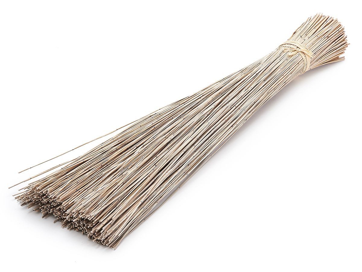 Trockenblume Vleireed Weiß 75cm 1kg Restio günstig online kaufen
