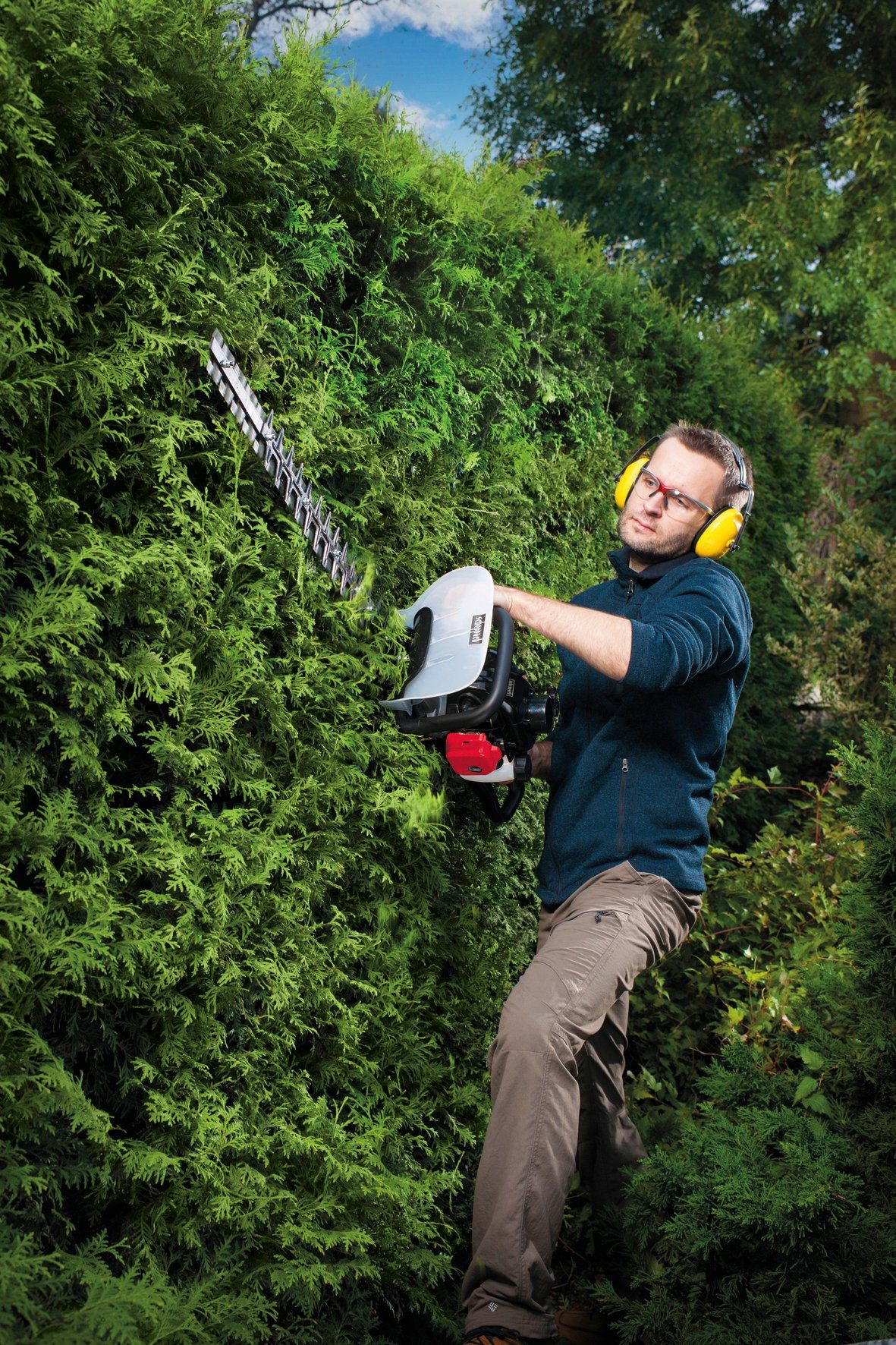 Scheppach Benzin-Heckenschere HTH250/240P, 60 cm Schnittlänge günstig online kaufen