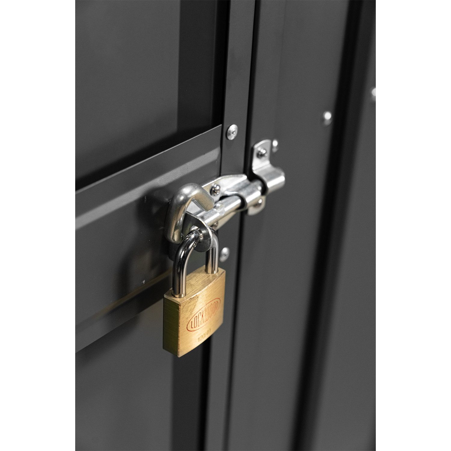 Globel Industries Gewächshaustür Zusatzschwingtüre für Globel Industries Gerätehaus "Tower"