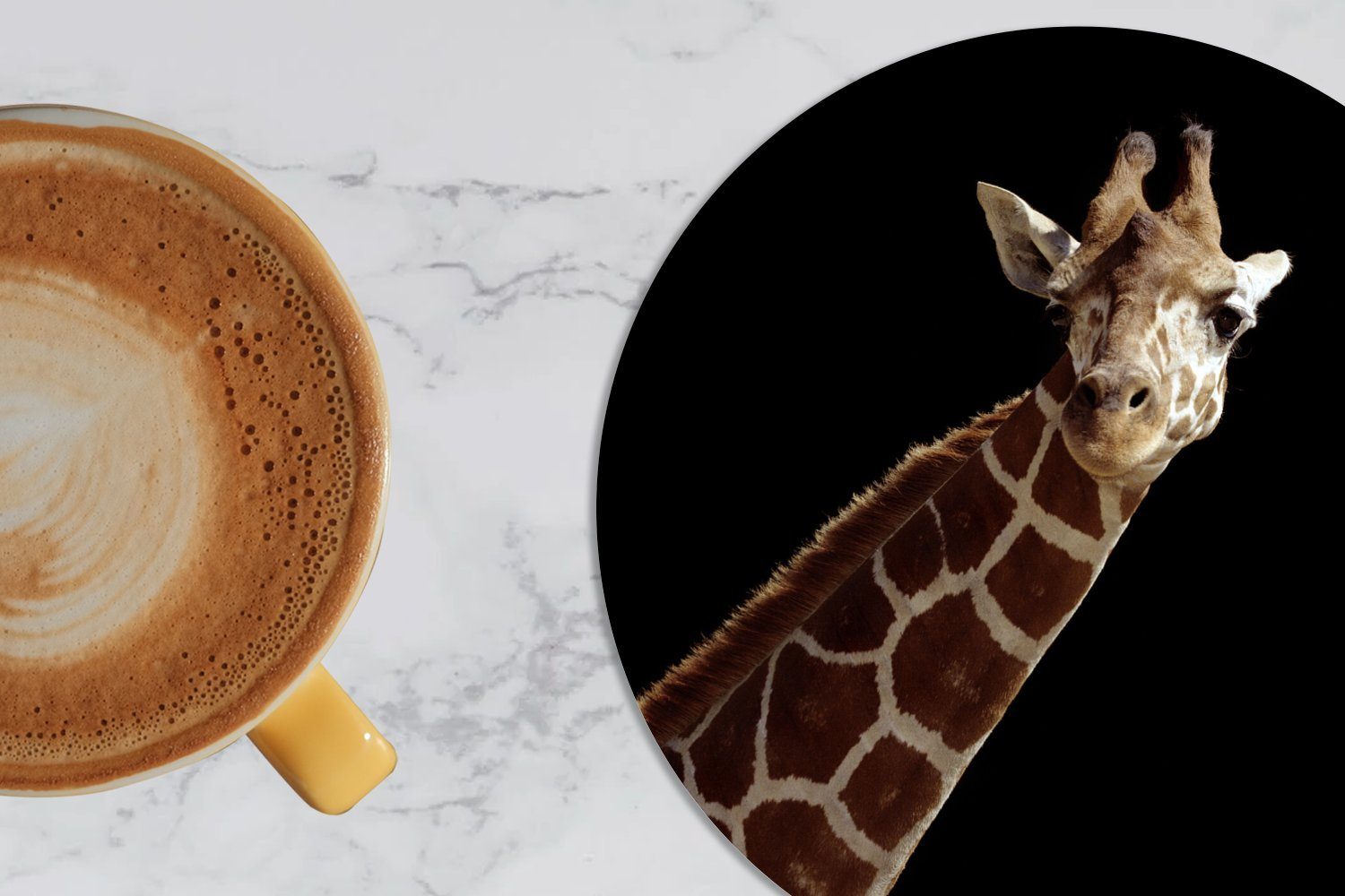 Giraffe Korkuntersetzer, 6-tlg., MuchoWow schwarzen Porträt Hintergrund, Becher Glasuntersetzer für Gläser, Zubehör für Tasse, Tassenuntersetzer, Getränkeuntersetzer,