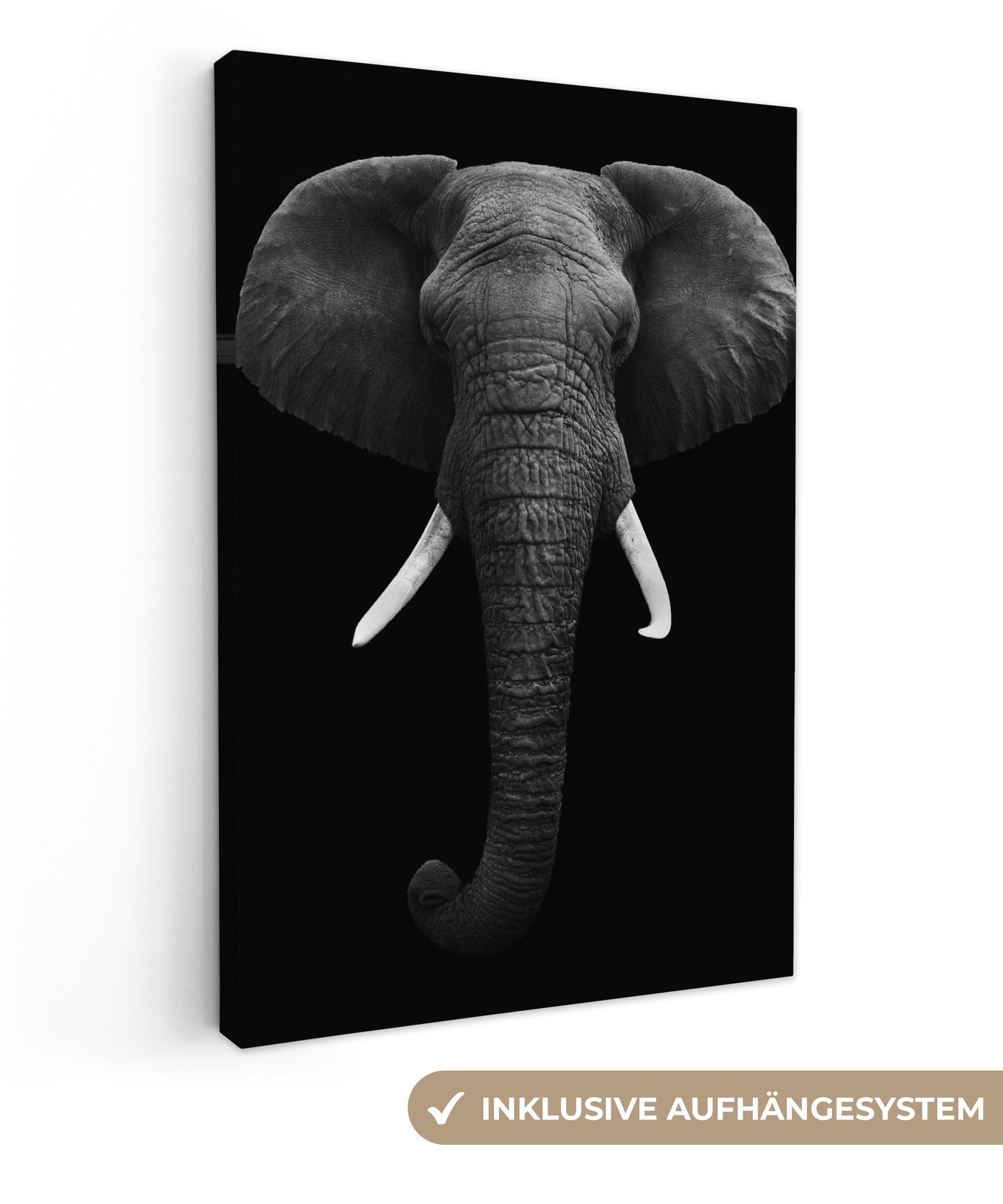 OneMillionCanvasses® Leinwandbild Elefant - Wildtiere - Schwarz - Weiß - Po günstig online kaufen