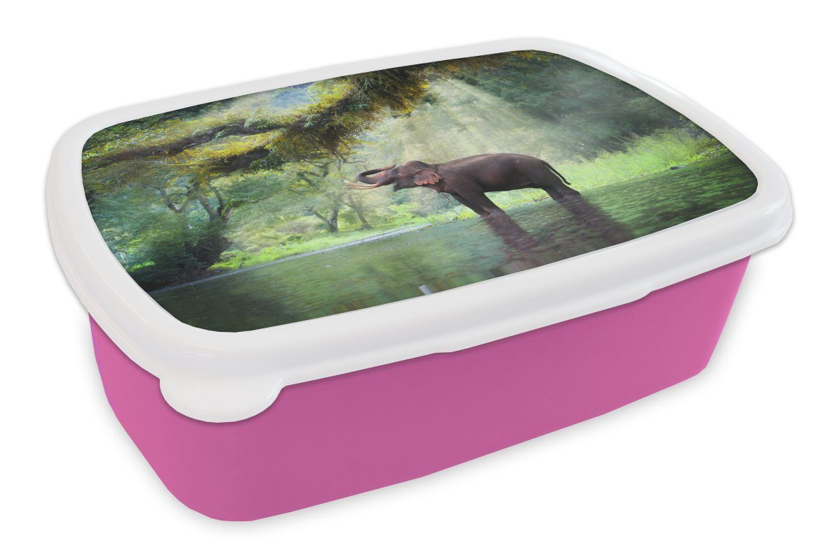 MuchoWow Lunchbox Dschungel - Elefant - Wasser, Kunststoff, (2-tlg), Brotbox für Erwachsene, Brotdose Kinder, Snackbox, Mädchen, Kunststoff rosa