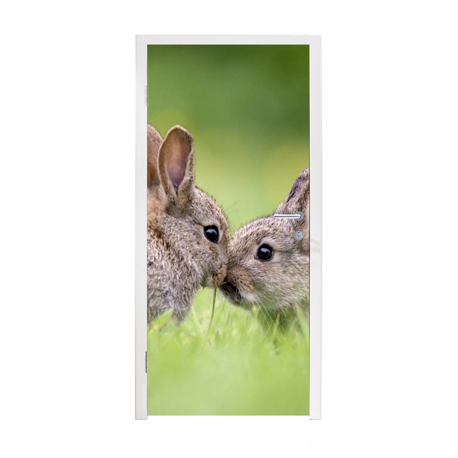 MuchoWow Türtapete Kaninchen - Baby St), Gras, 75x205 Matt, (1 - bedruckt, für Türaufkleber, Fototapete cm Tür