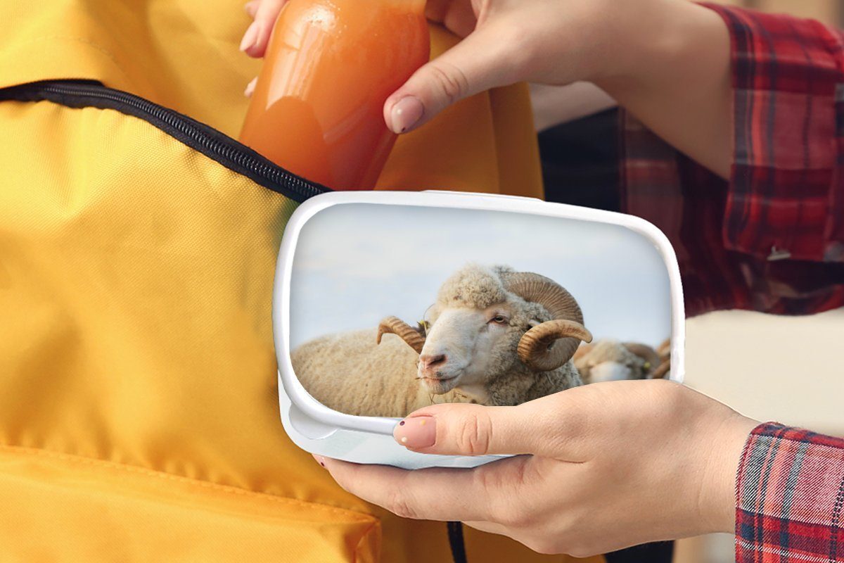 Lunchbox Brotbox für und weiß MuchoWow Widder Hörner, - Kinder Schafe Kunststoff, (2-tlg), Brotdose, Jungs Mädchen Erwachsene, und - für