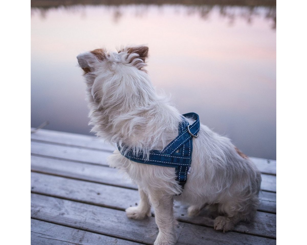 Thumbnail - HURTTA Hunde-Geschirr Casual Geschirr blau