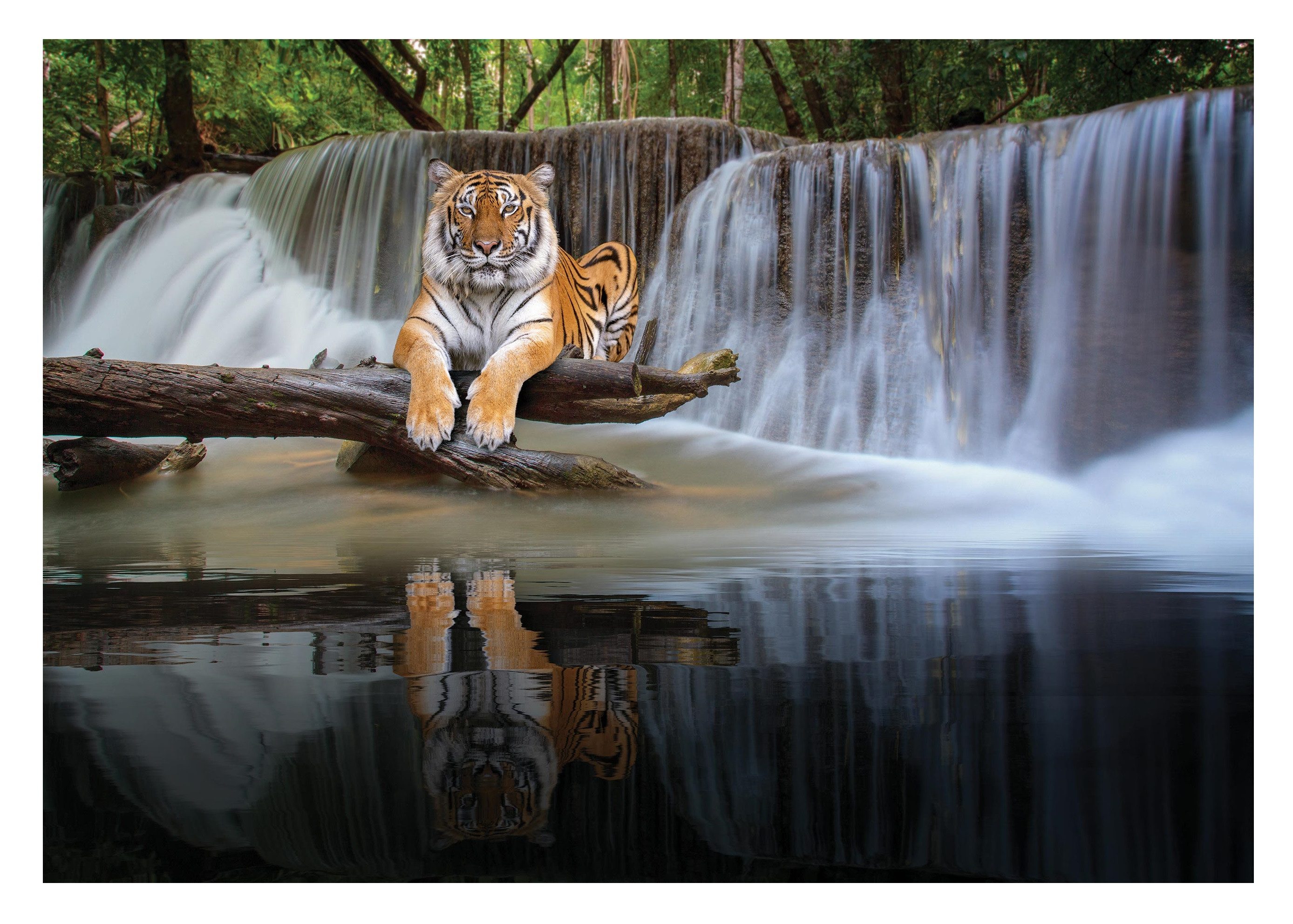 Wallarena Fototapete Wasserfall Tigre Natur Vlies Tapete Wohnzimmer Schlafz günstig online kaufen