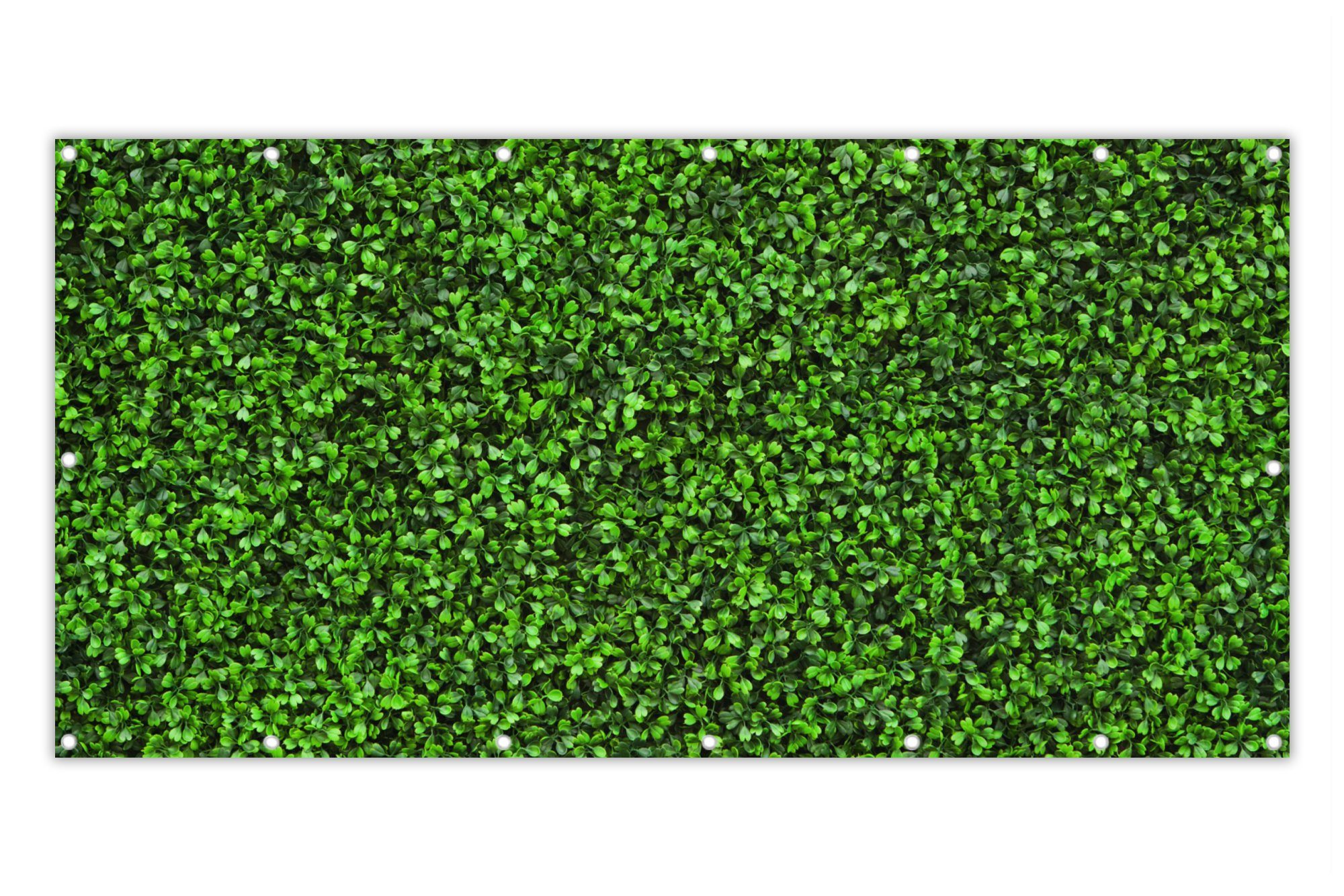 MuchoWow Balkonsichtschutz Hecke - Laub - Natur (1-St) Balkon Sichtschutz 90x200, Windschutz für Zaun PVC, 200x90 cm