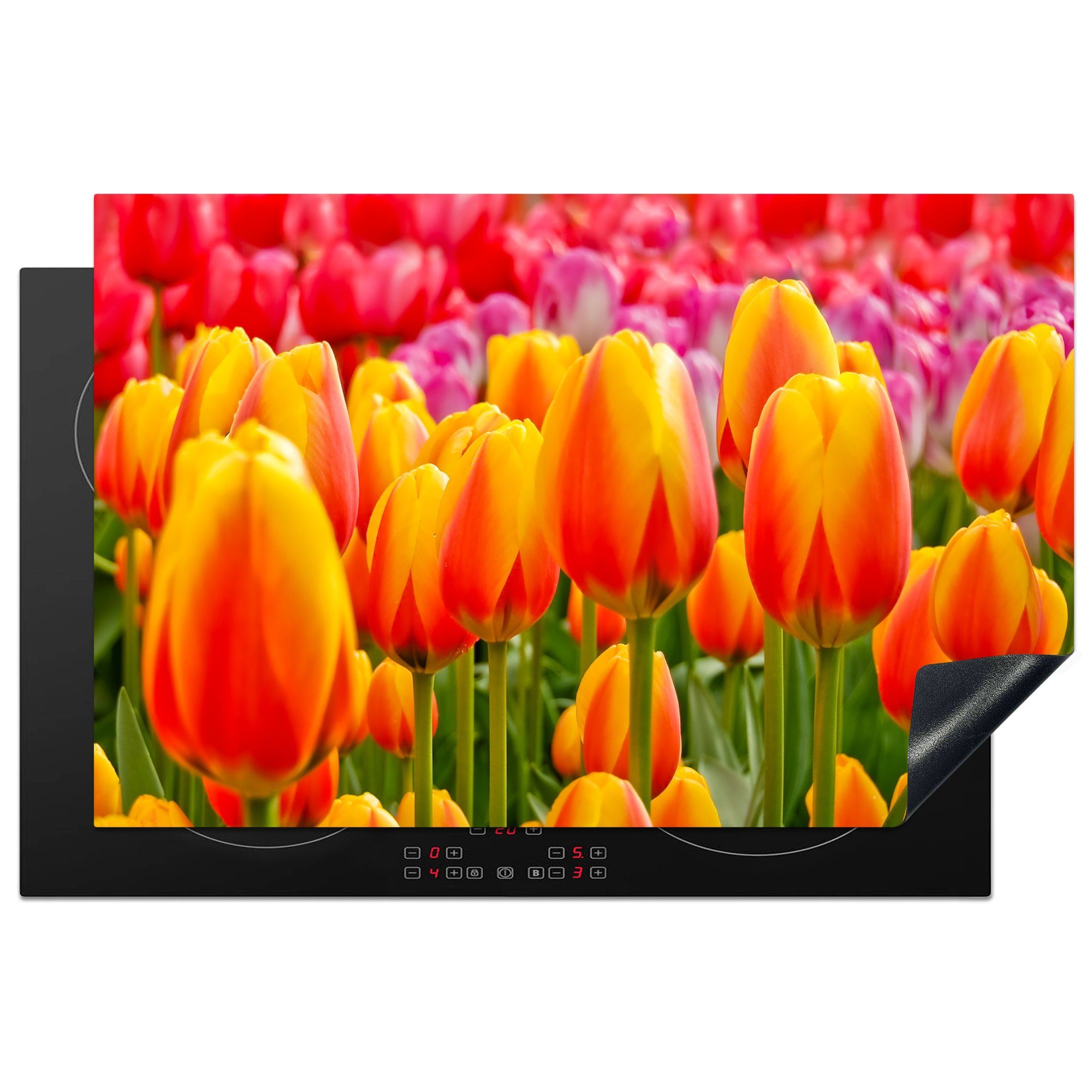 Schutz dem Orangene Niederlanden, Tulpen cm, Induktionskochfeld 81x52 (1 in für Vinyl, tlg), den Keukenhof Herdblende-/Abdeckplatte die Ceranfeldabdeckung MuchoWow auf küche,